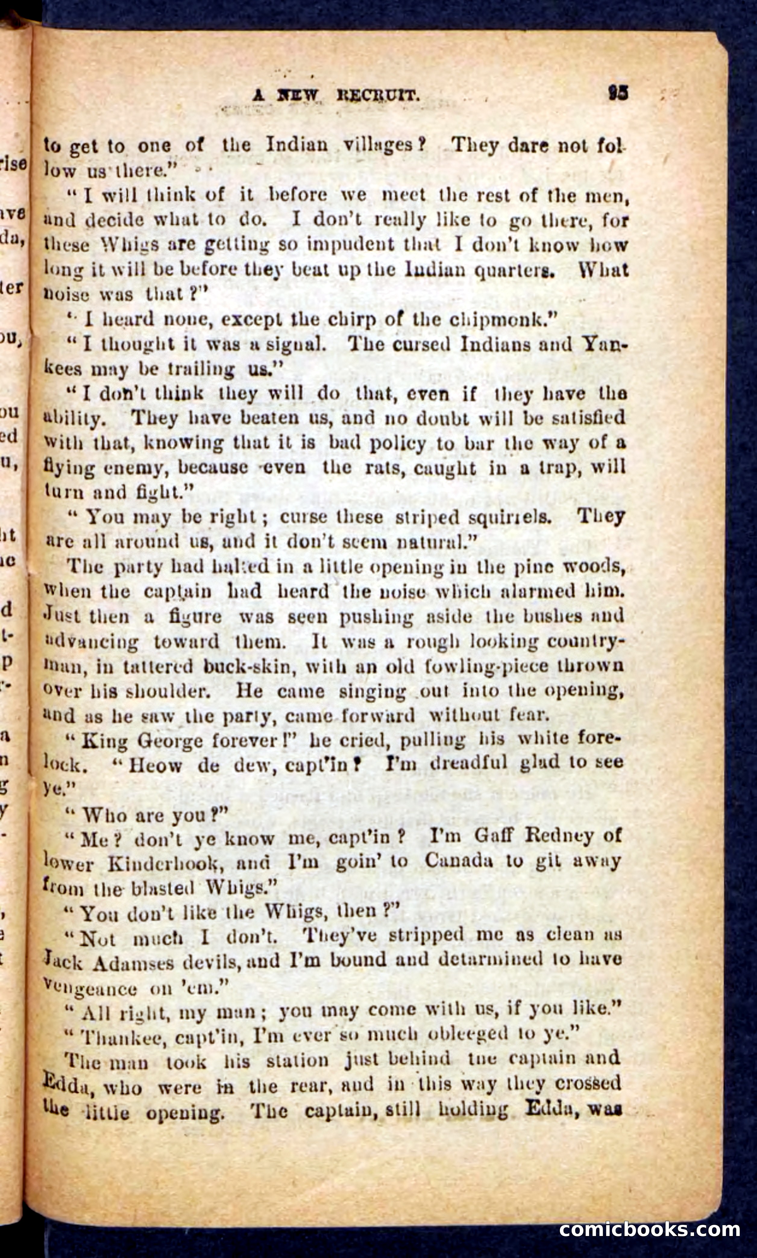 Beadle's Pocket Novels No. 249: Gray Hair, the Chief — page 91 of 100