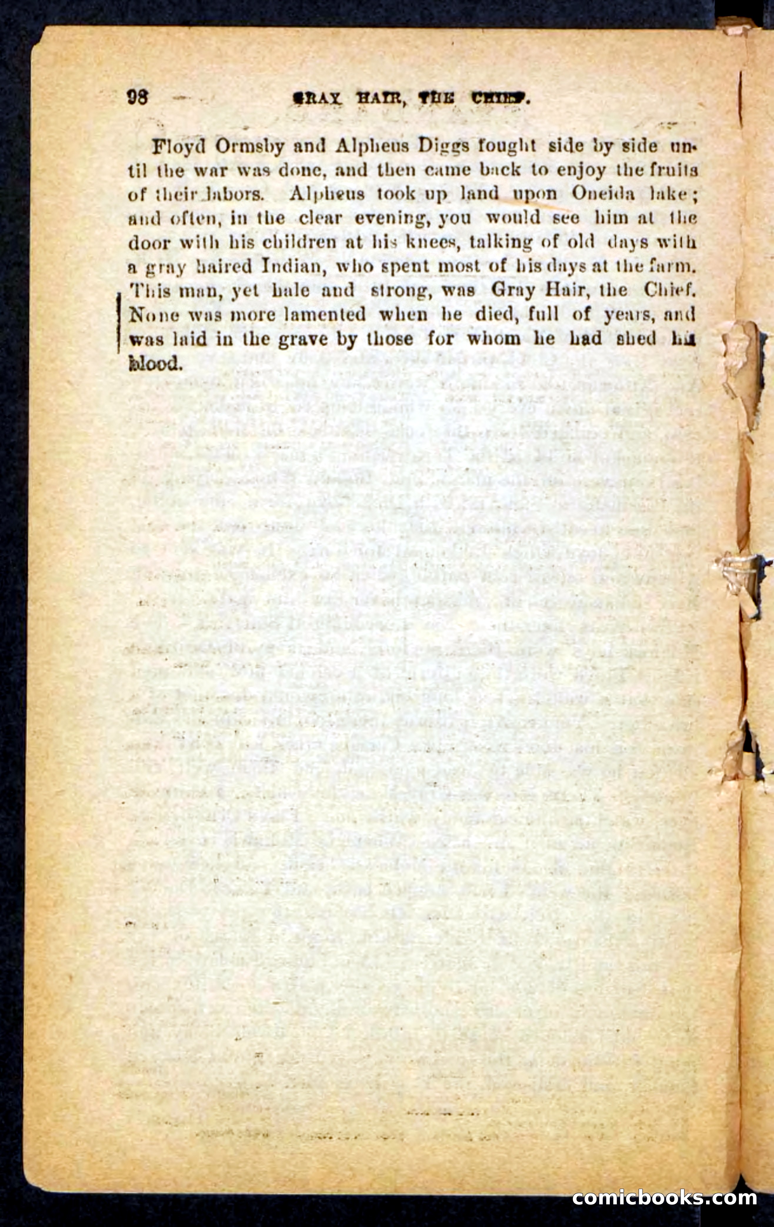 Beadle's Pocket Novels No. 249: Gray Hair, the Chief — page 94 of 100