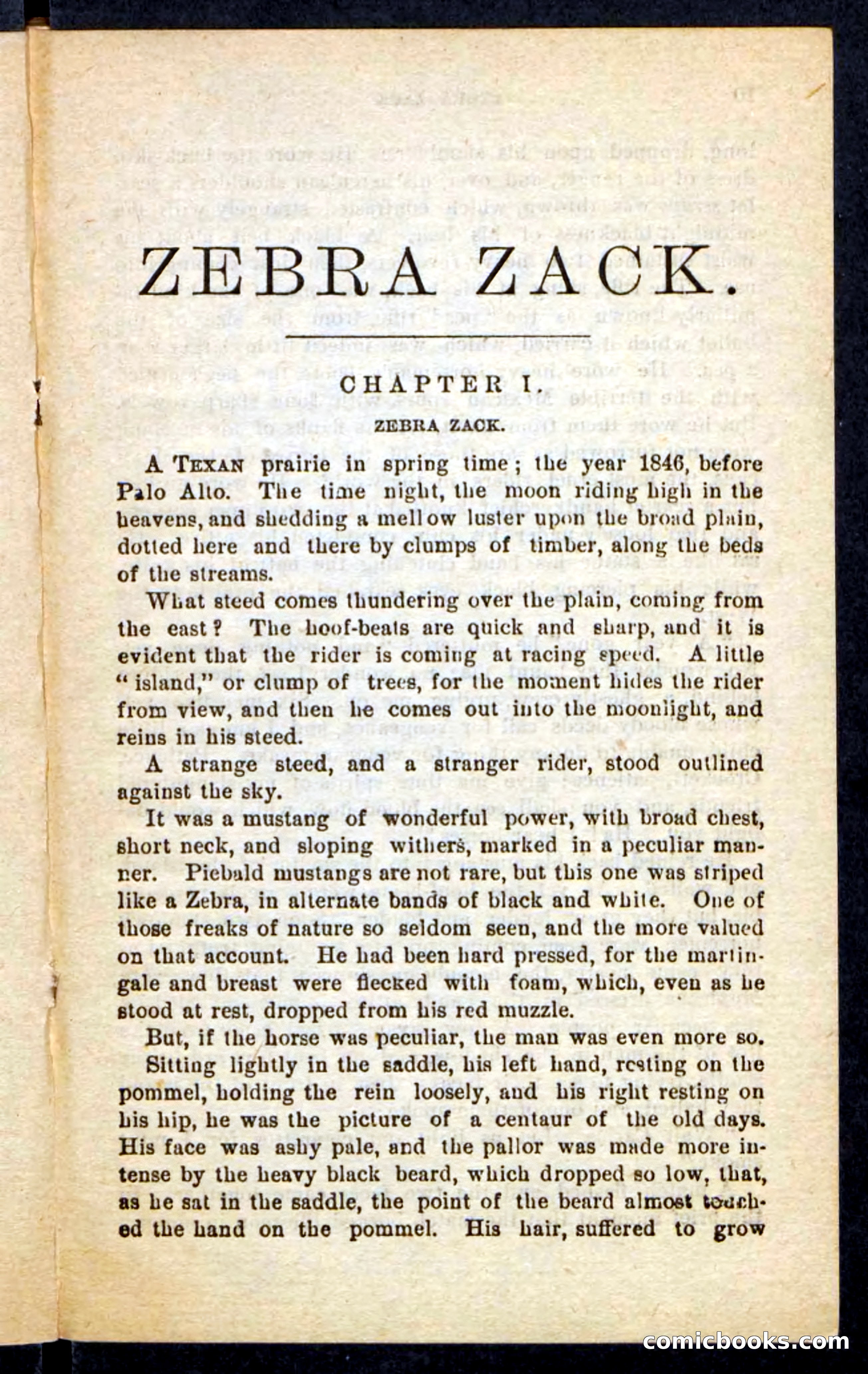 Zebra Zack — page 5 of 100