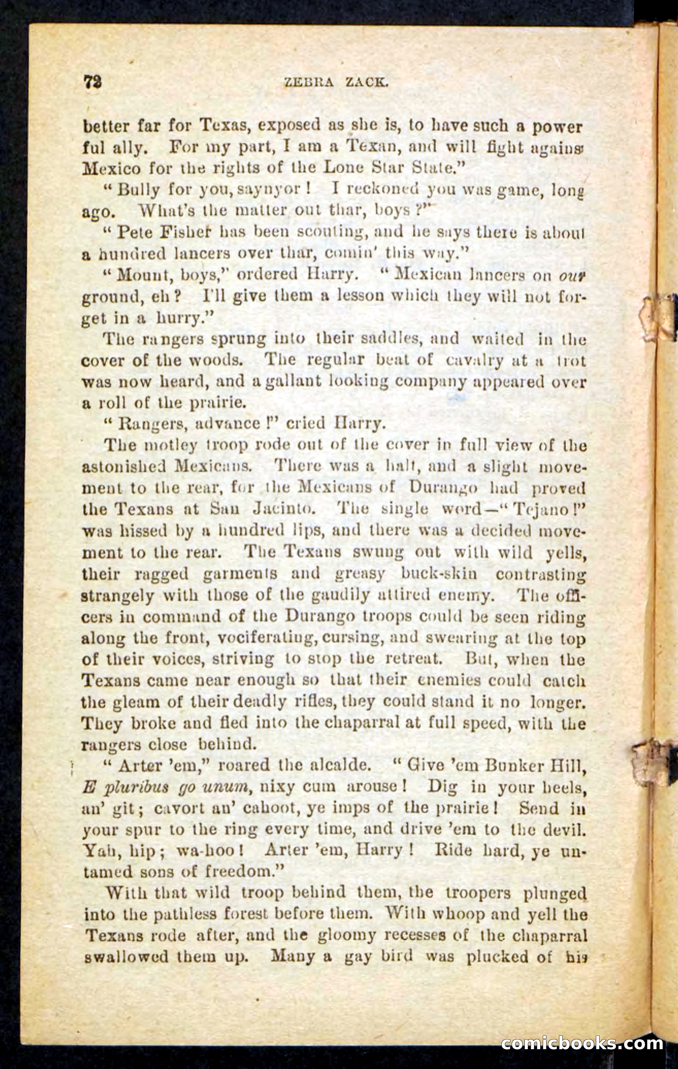 Zebra Zack — page 68 of 100