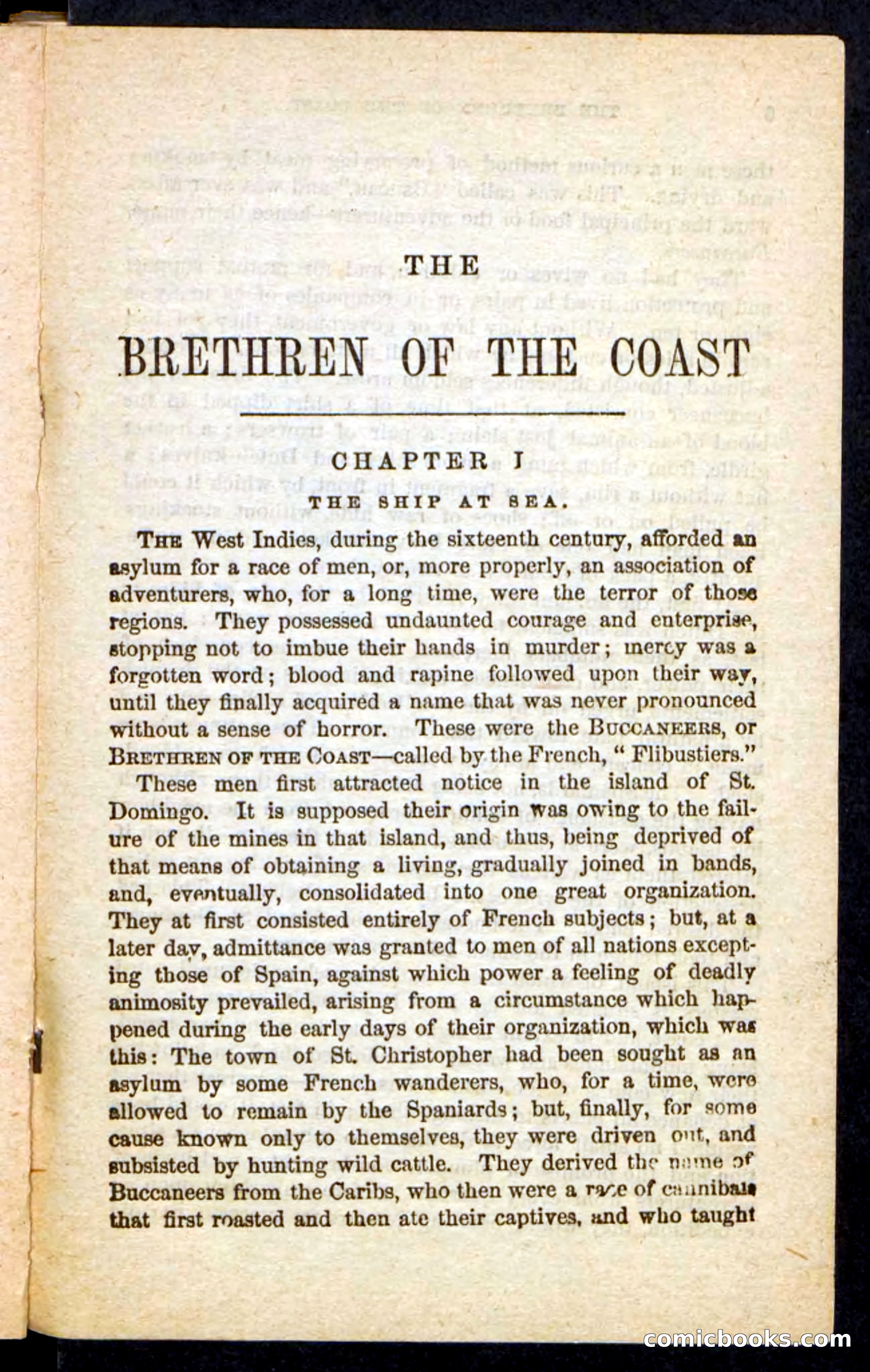 Beadle's Pocket Novels No. 255: The Brethren of the Coast — page 5 of 100