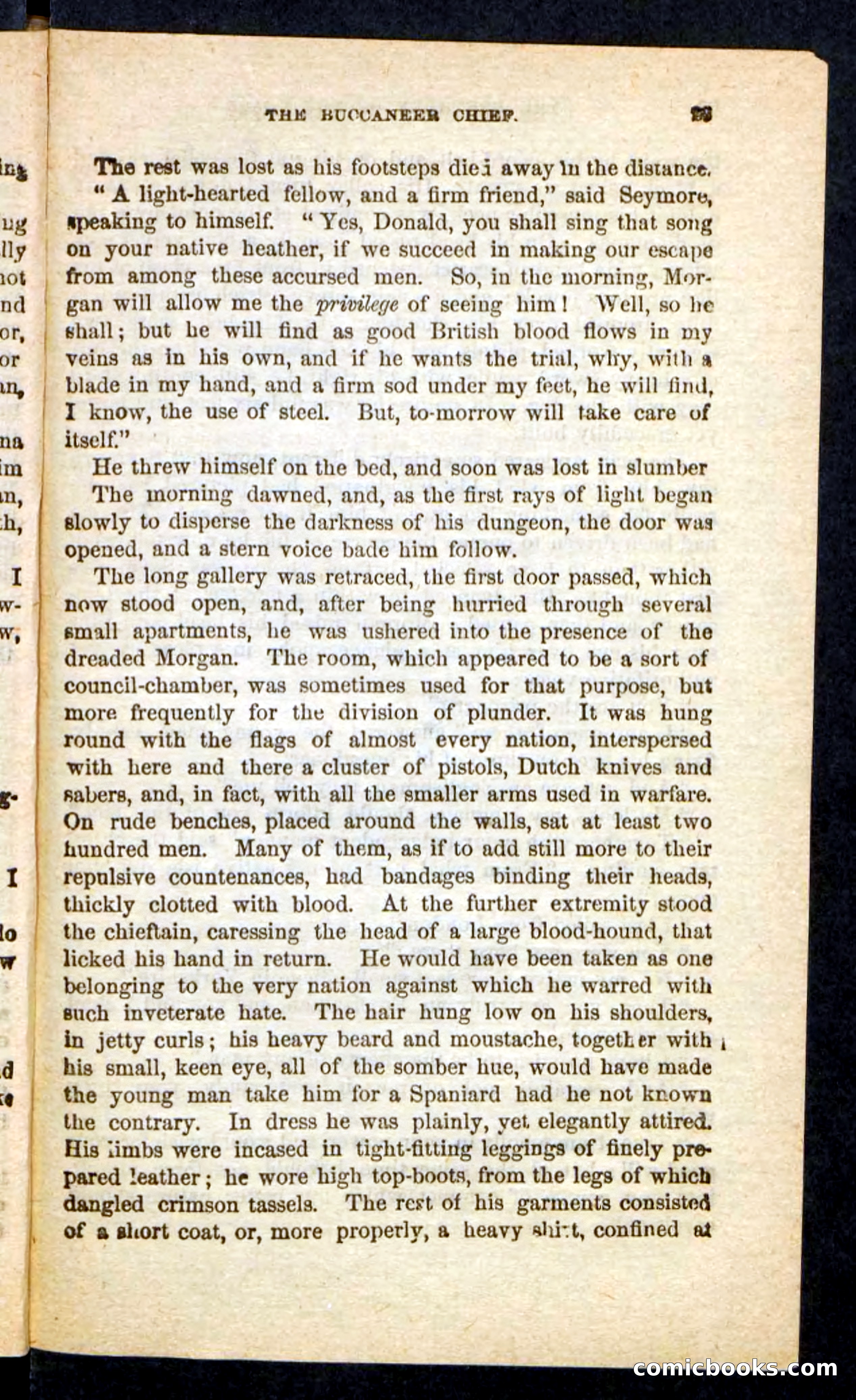 Beadle's Pocket Novels No. 255: The Brethren of the Coast — page 29 of 100