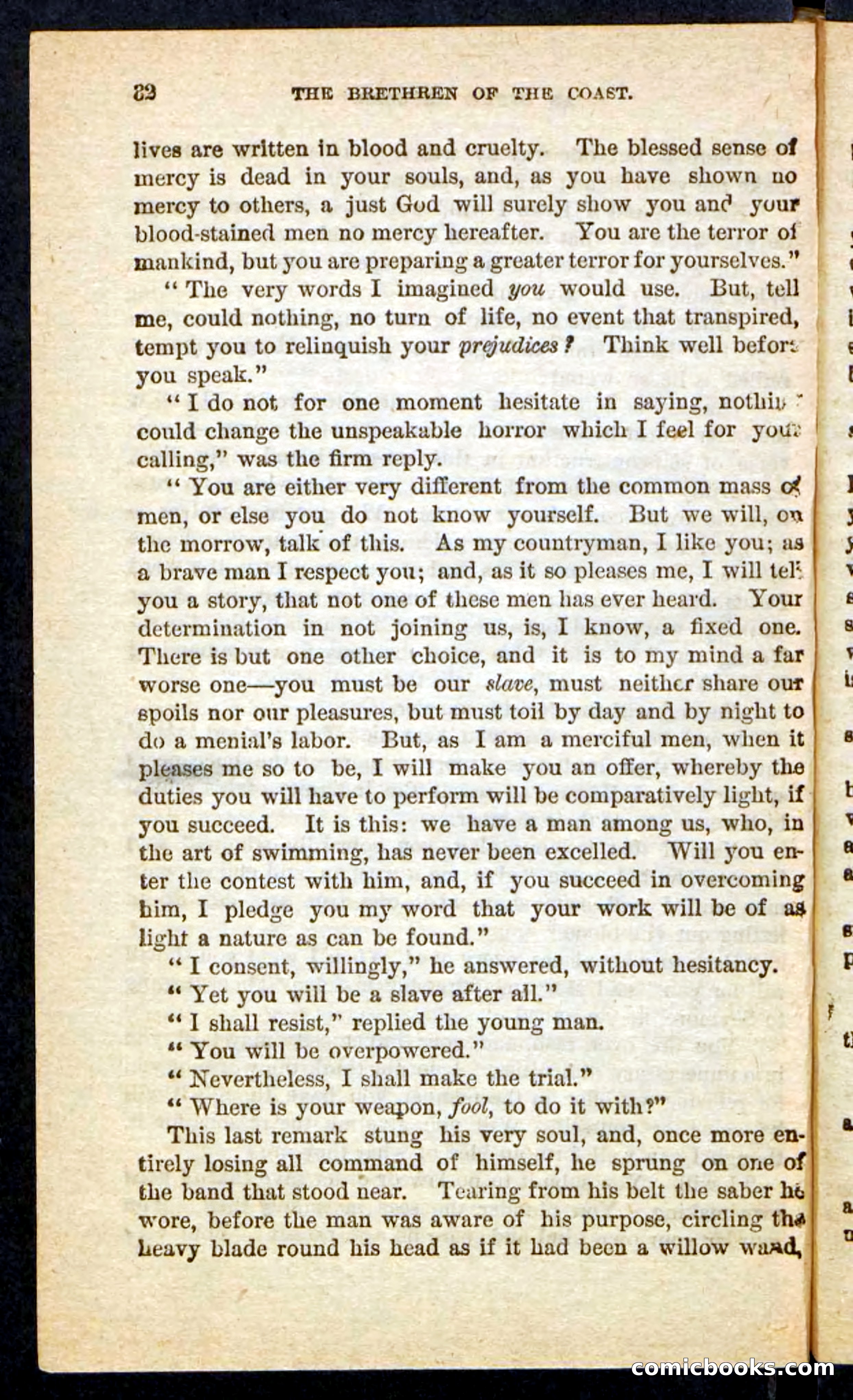 Beadle's Pocket Novels No. 255: The Brethren of the Coast — page 32 of 100