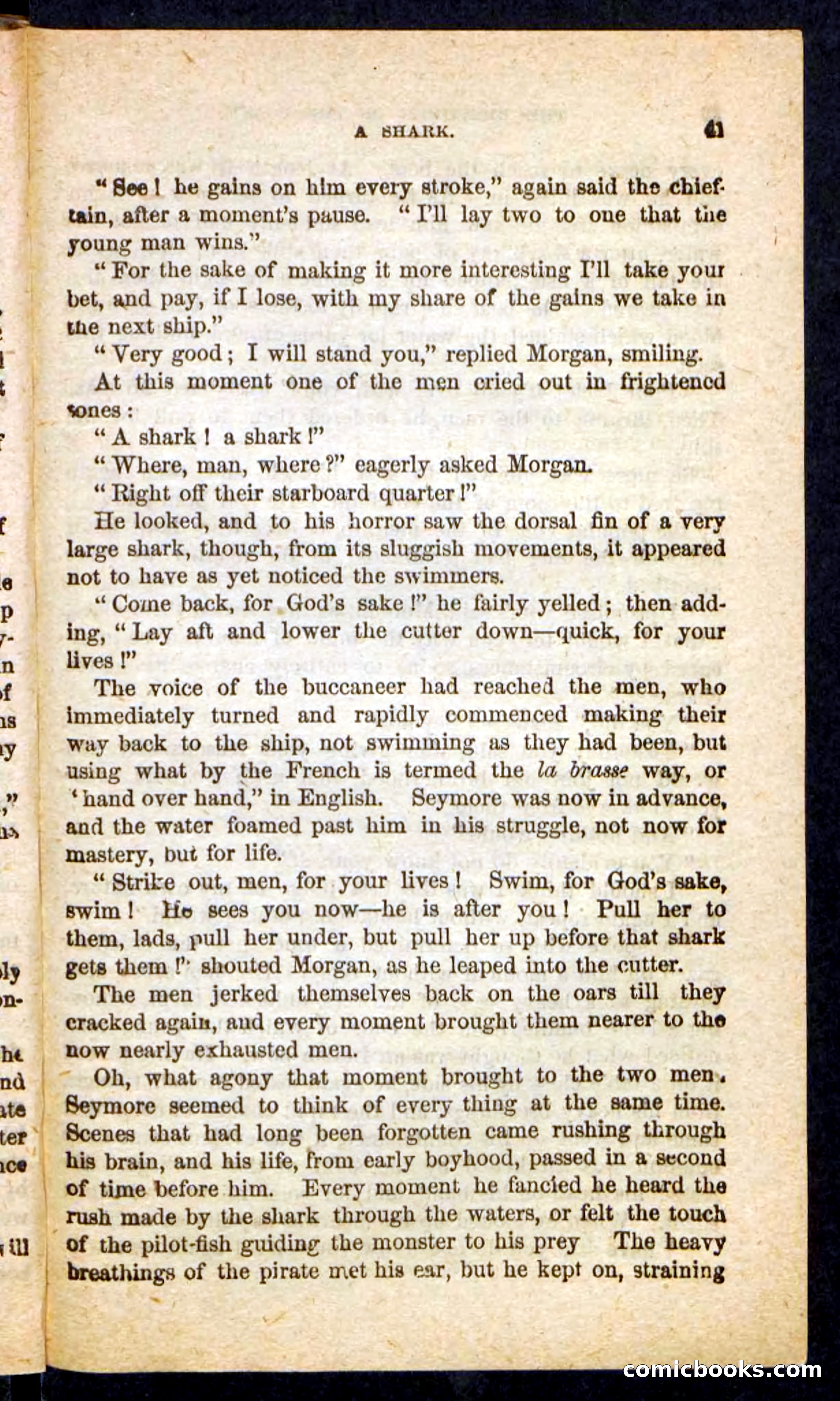 Beadle's Pocket Novels No. 255: The Brethren of the Coast — page 41 of 100