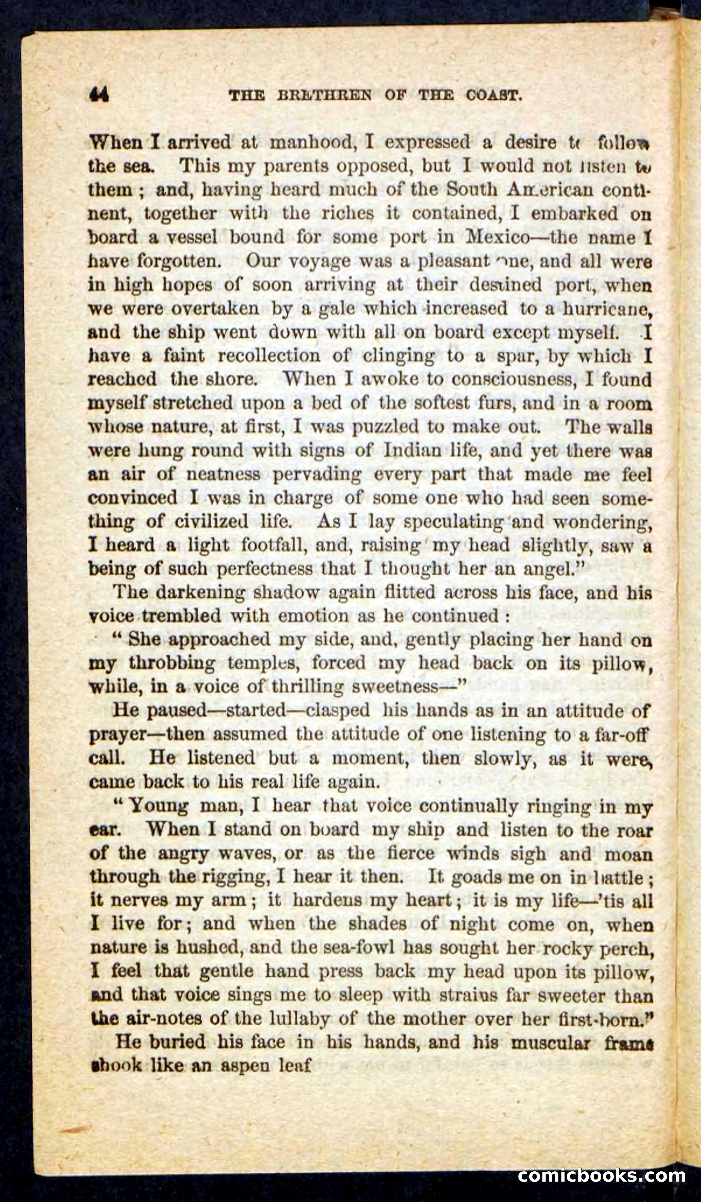 Beadle's Pocket Novels No. 255: The Brethren of the Coast — page 44 of 100