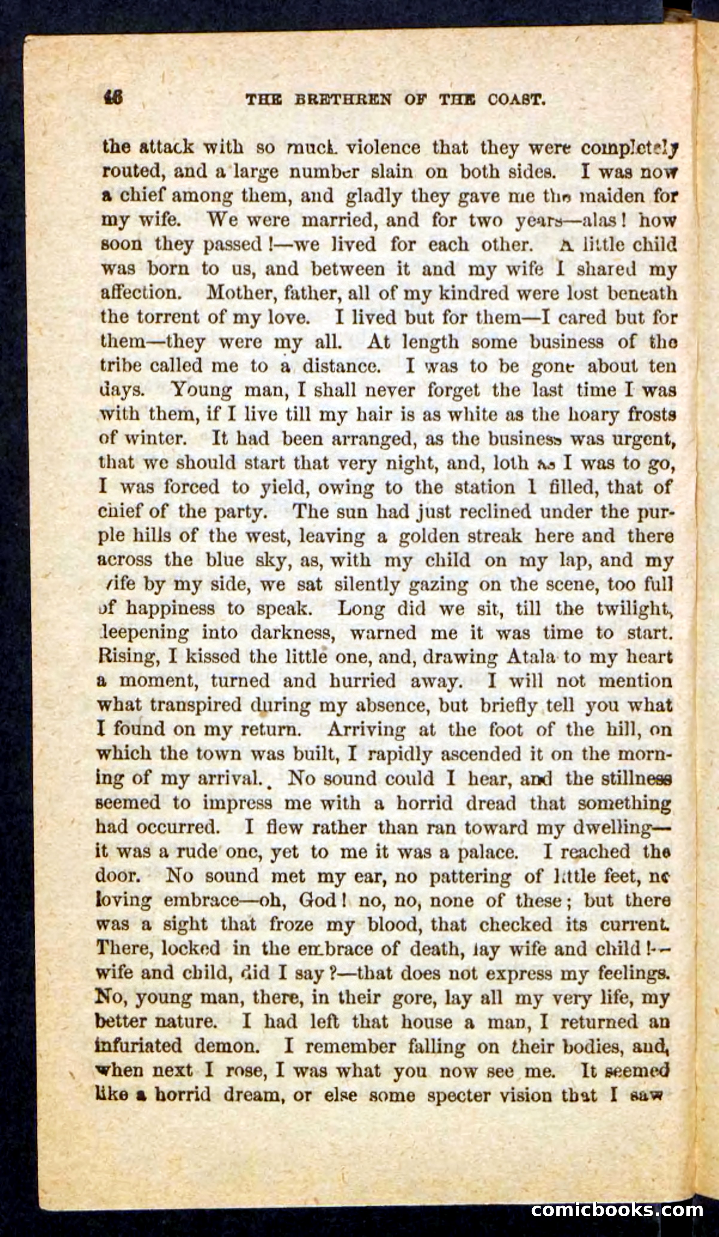Beadle's Pocket Novels No. 255: The Brethren of the Coast — page 46 of 100