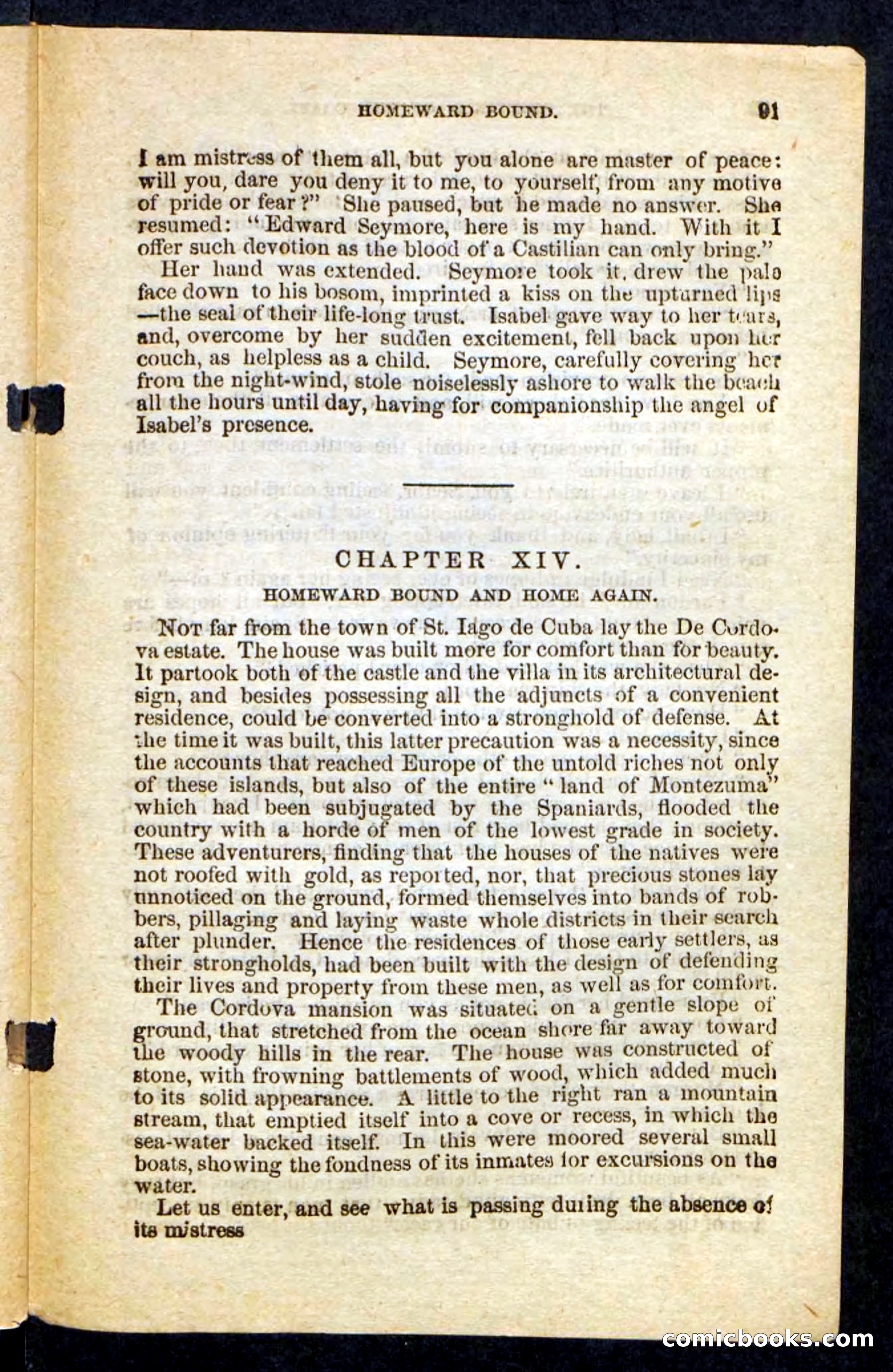 Beadle's Pocket Novels No. 255: The Brethren of the Coast — page 91 of 100