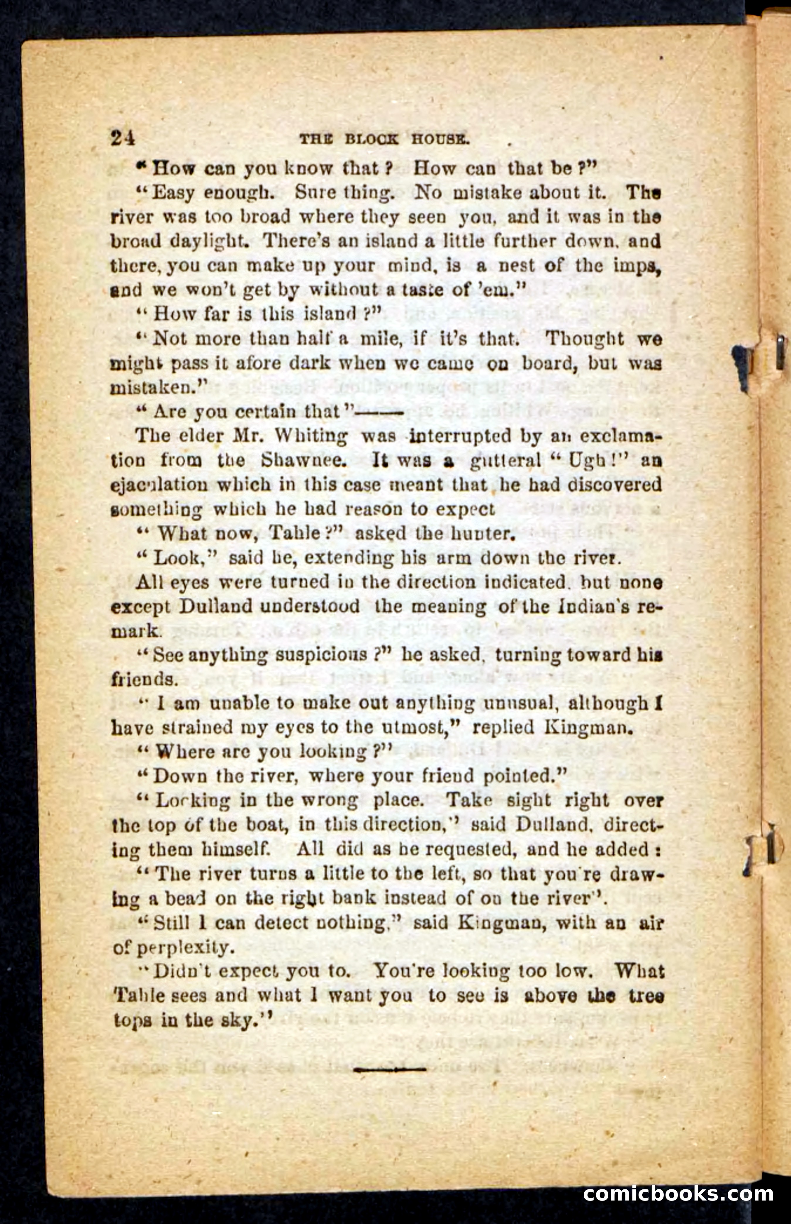 Beadle's Pocket Novels No. 257: Table, the Trailer — page 20 of 100