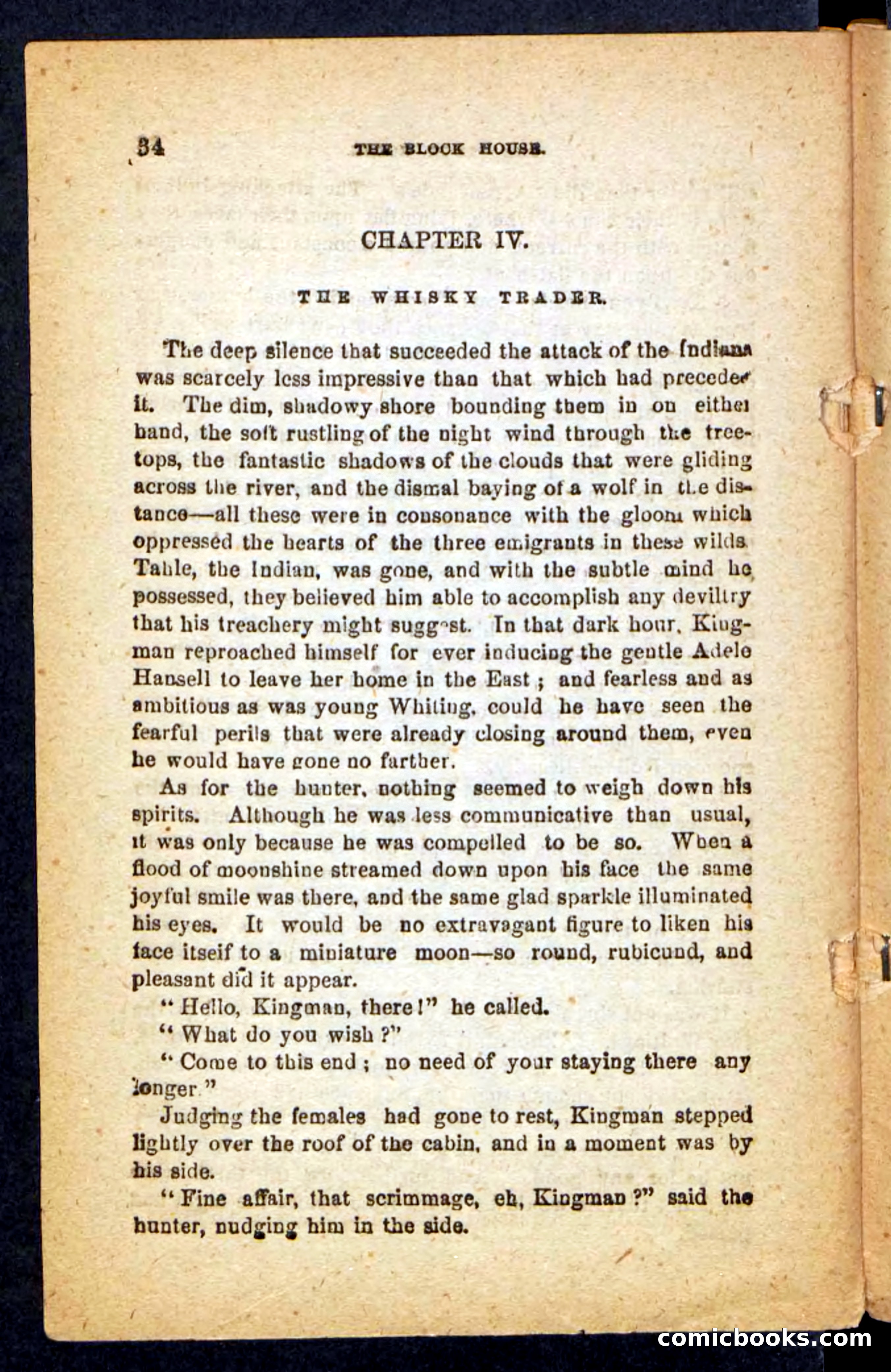 Beadle's Pocket Novels No. 257: Table, the Trailer — page 30 of 100