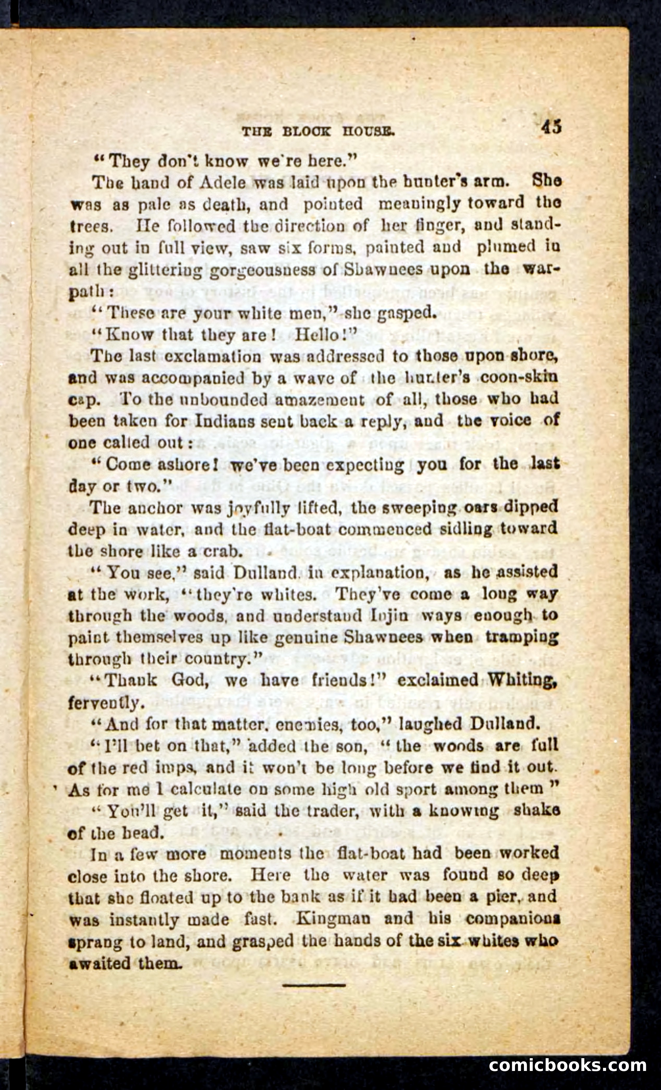 Beadle's Pocket Novels No. 257: Table, the Trailer — page 41 of 100