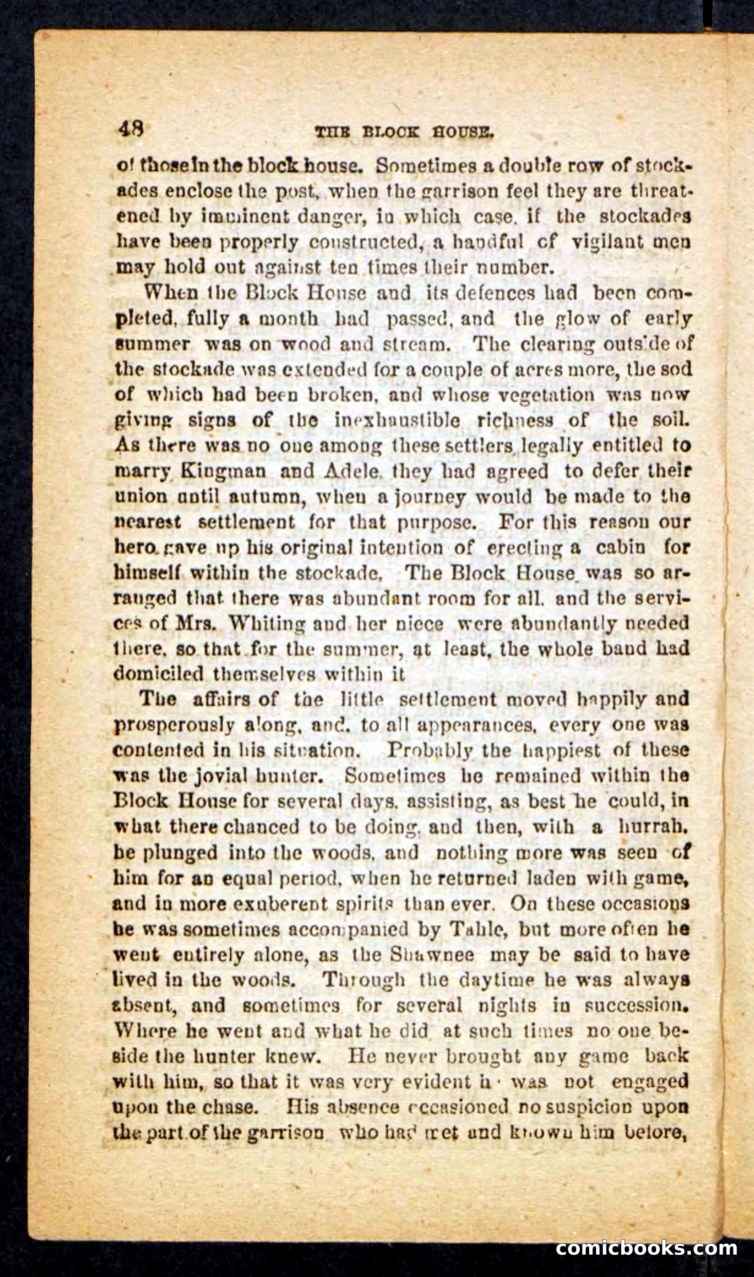 Beadle's Pocket Novels No. 257: Table, the Trailer — page 44 of 100