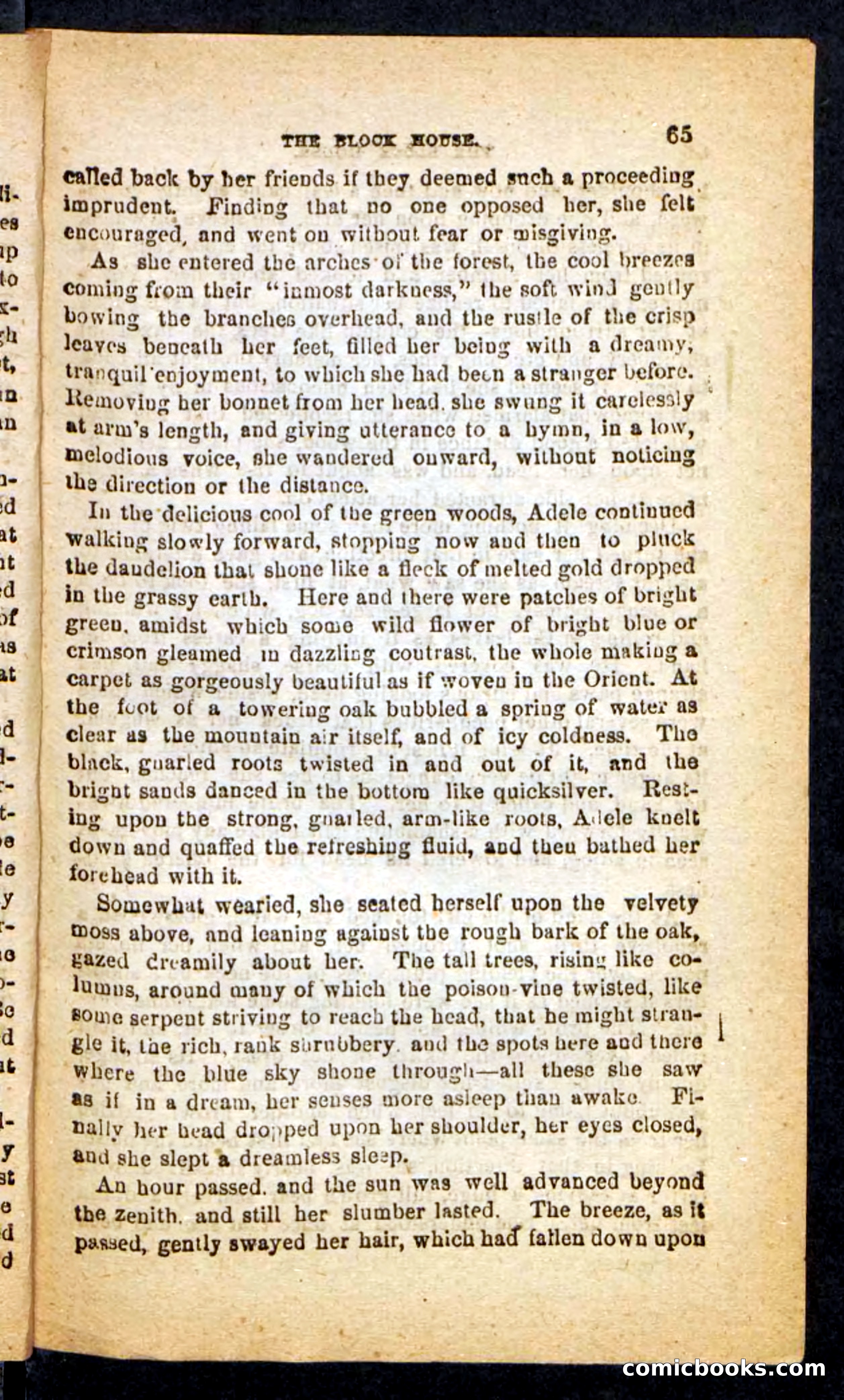 Beadle's Pocket Novels No. 257: Table, the Trailer — page 61 of 100