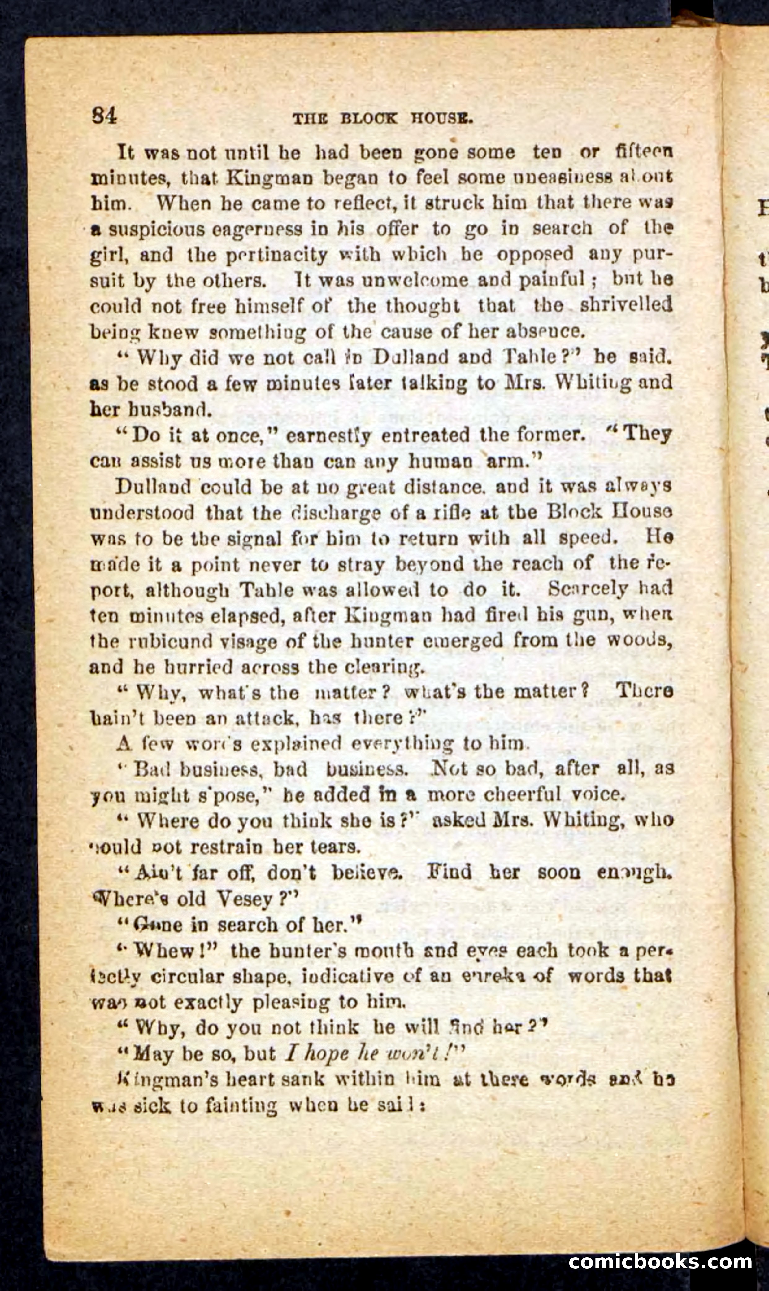 Beadle's Pocket Novels No. 257: Table, the Trailer — page 80 of 100