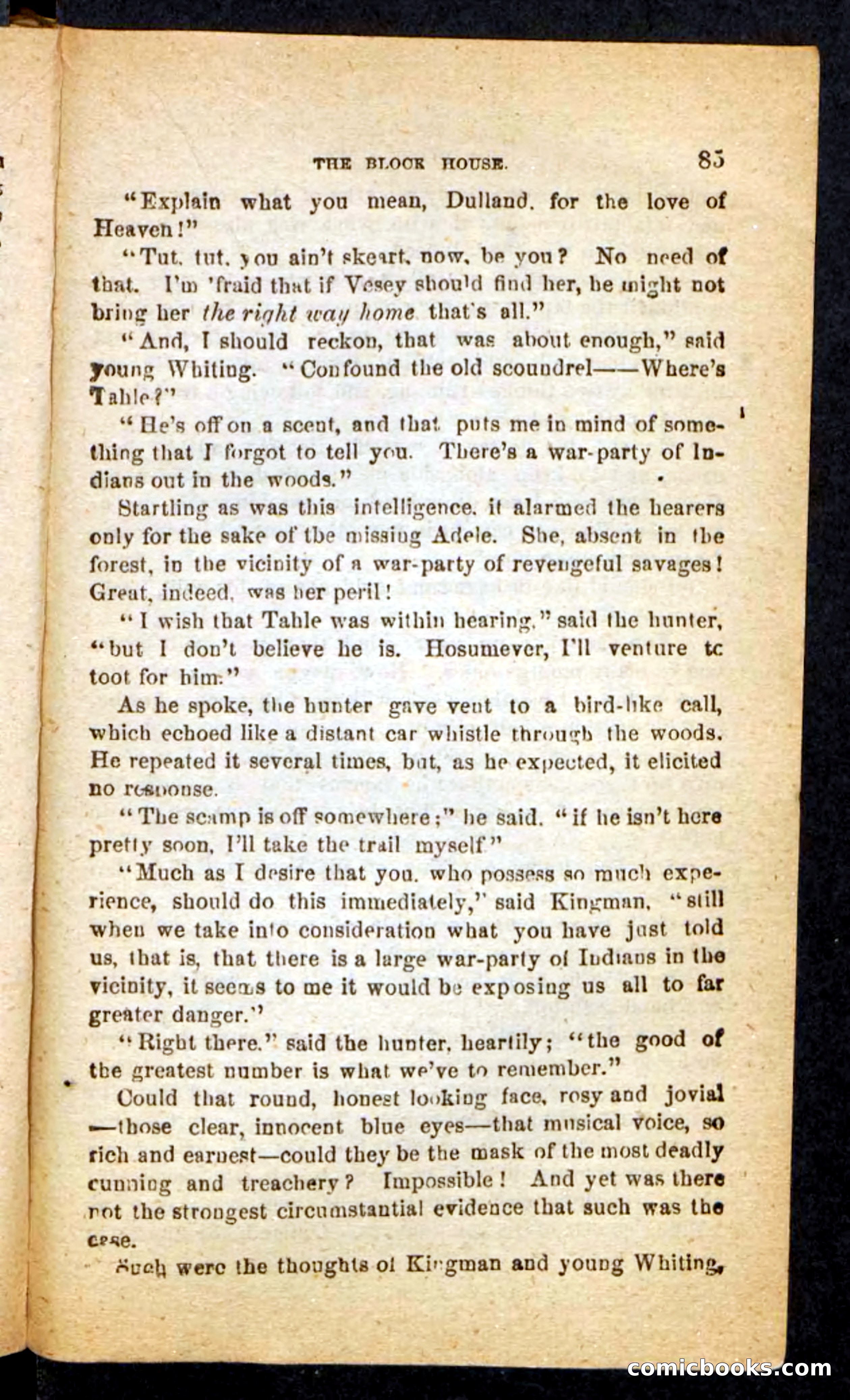 Beadle's Pocket Novels No. 257: Table, the Trailer — page 81 of 100