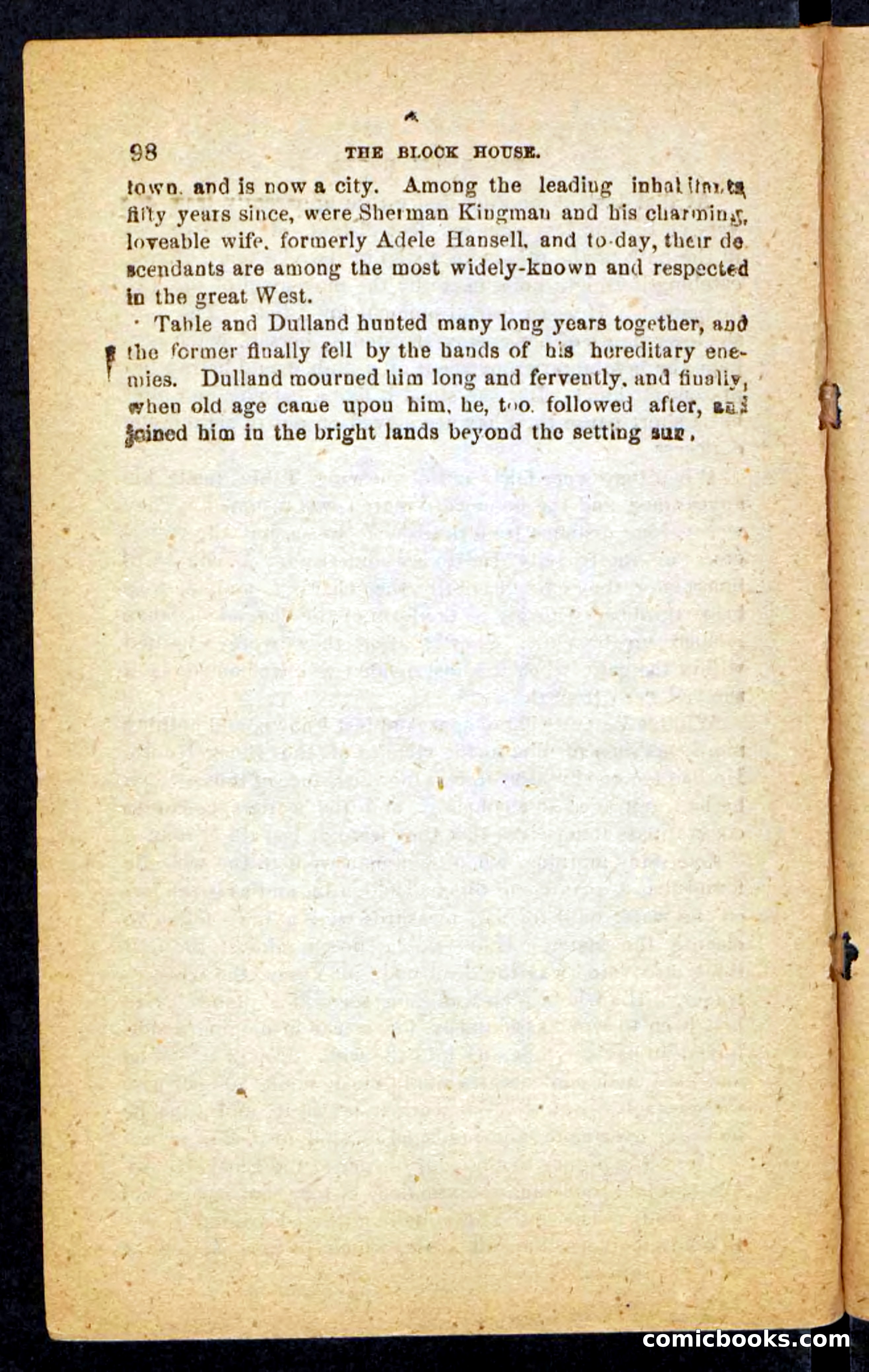 Beadle's Pocket Novels No. 257: Table, the Trailer — page 94 of 100