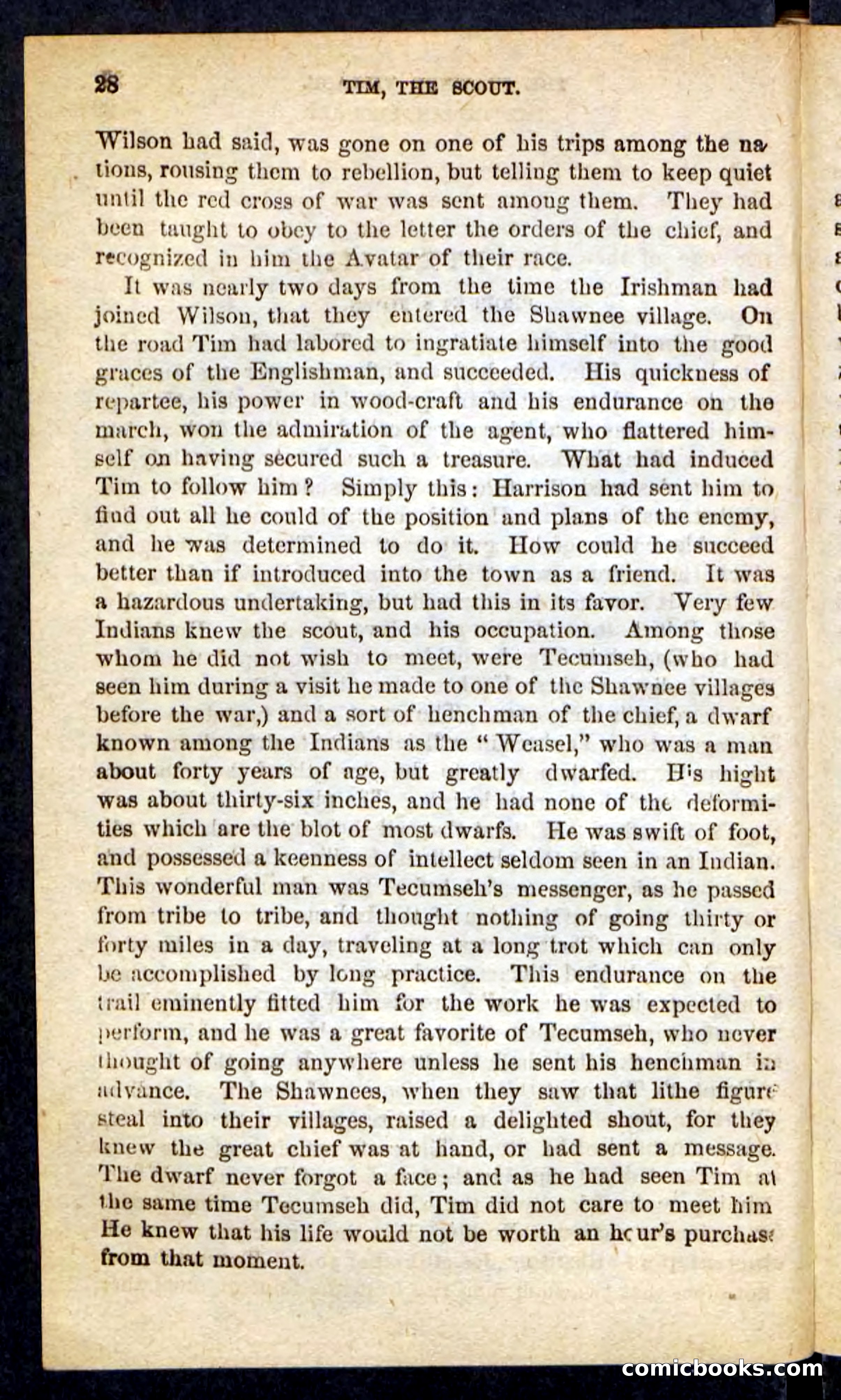 Tim, the Trailer — page 24 of 100