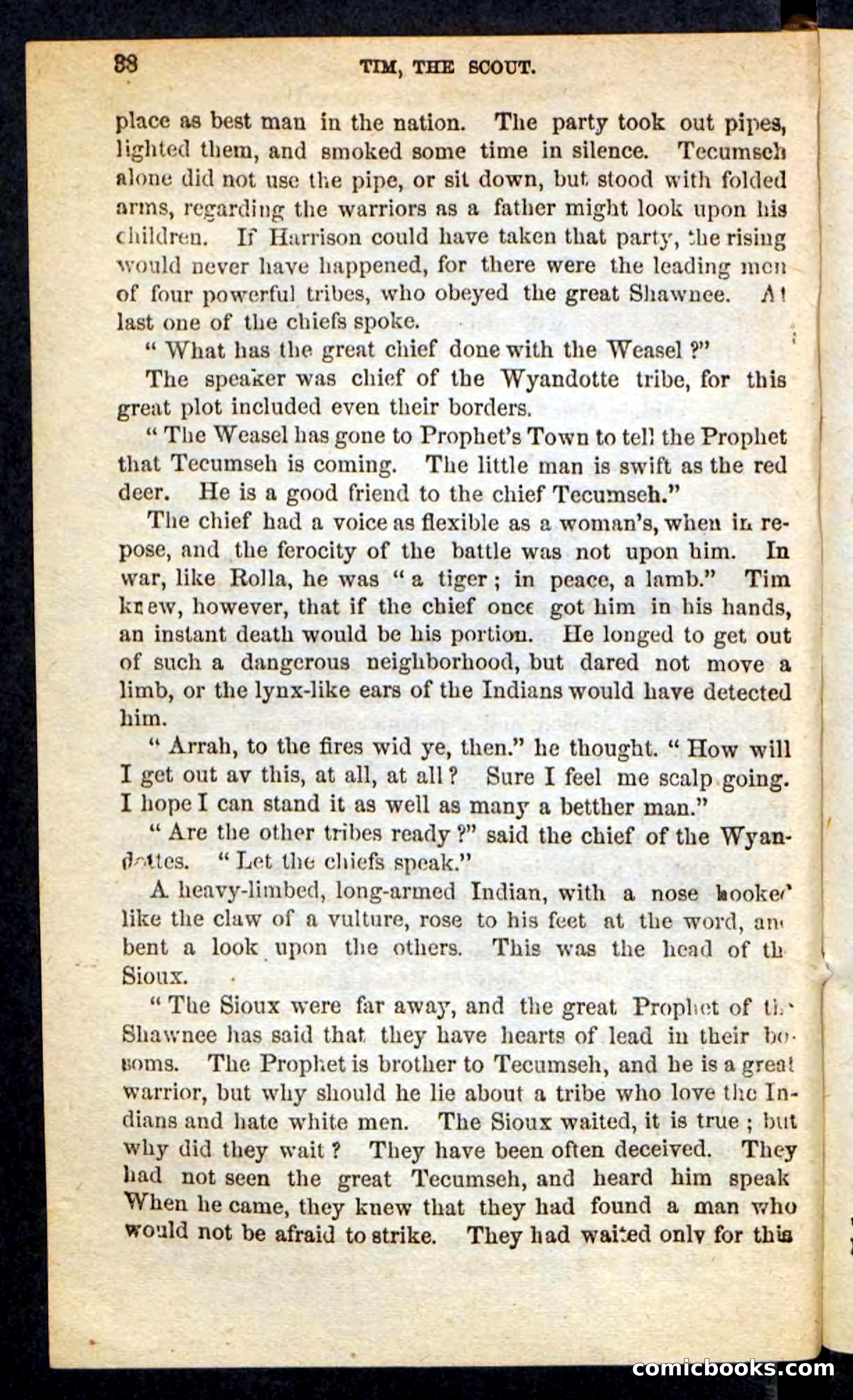 Tim, the Trailer — page 34 of 100