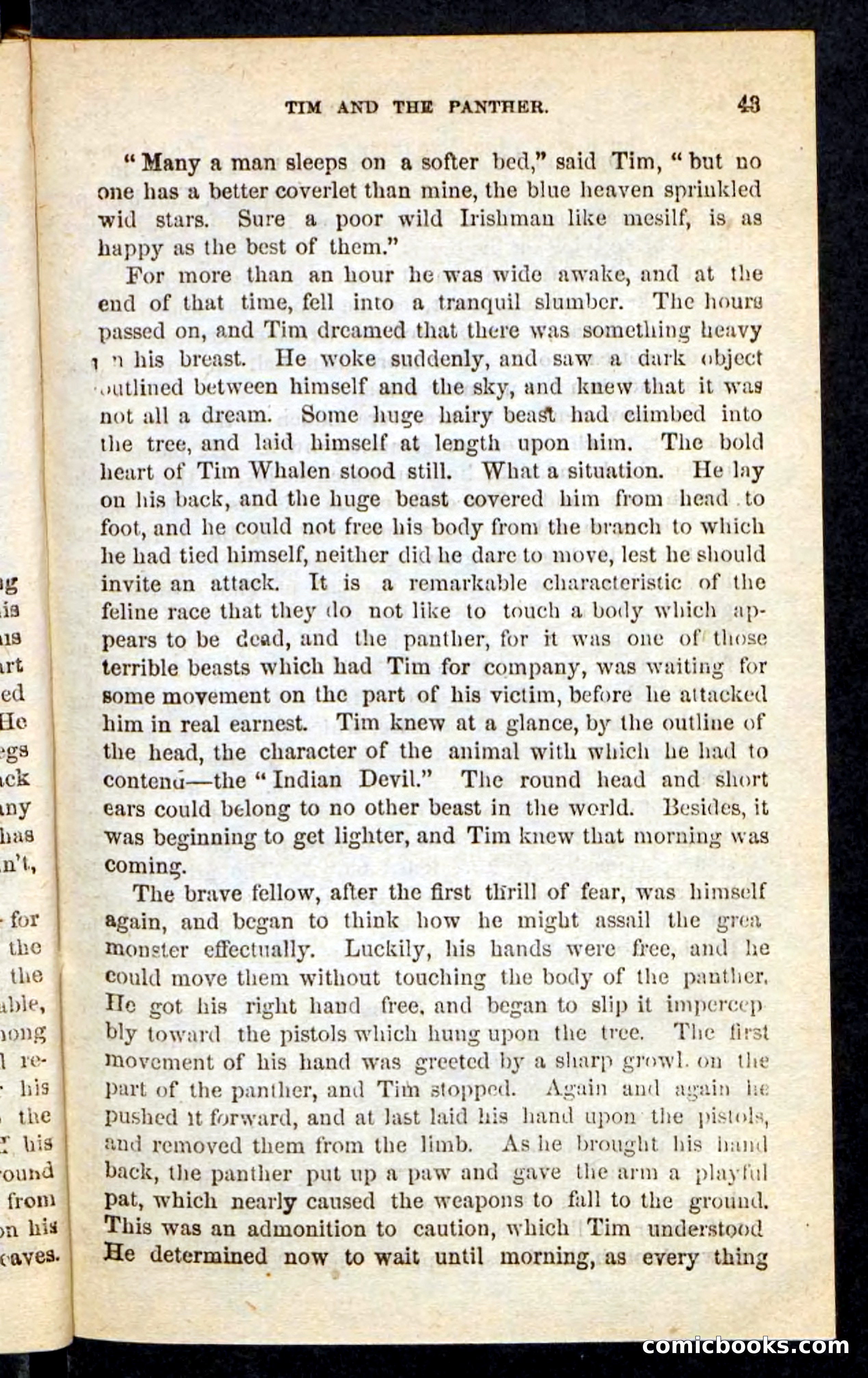 Tim, the Trailer — page 39 of 100