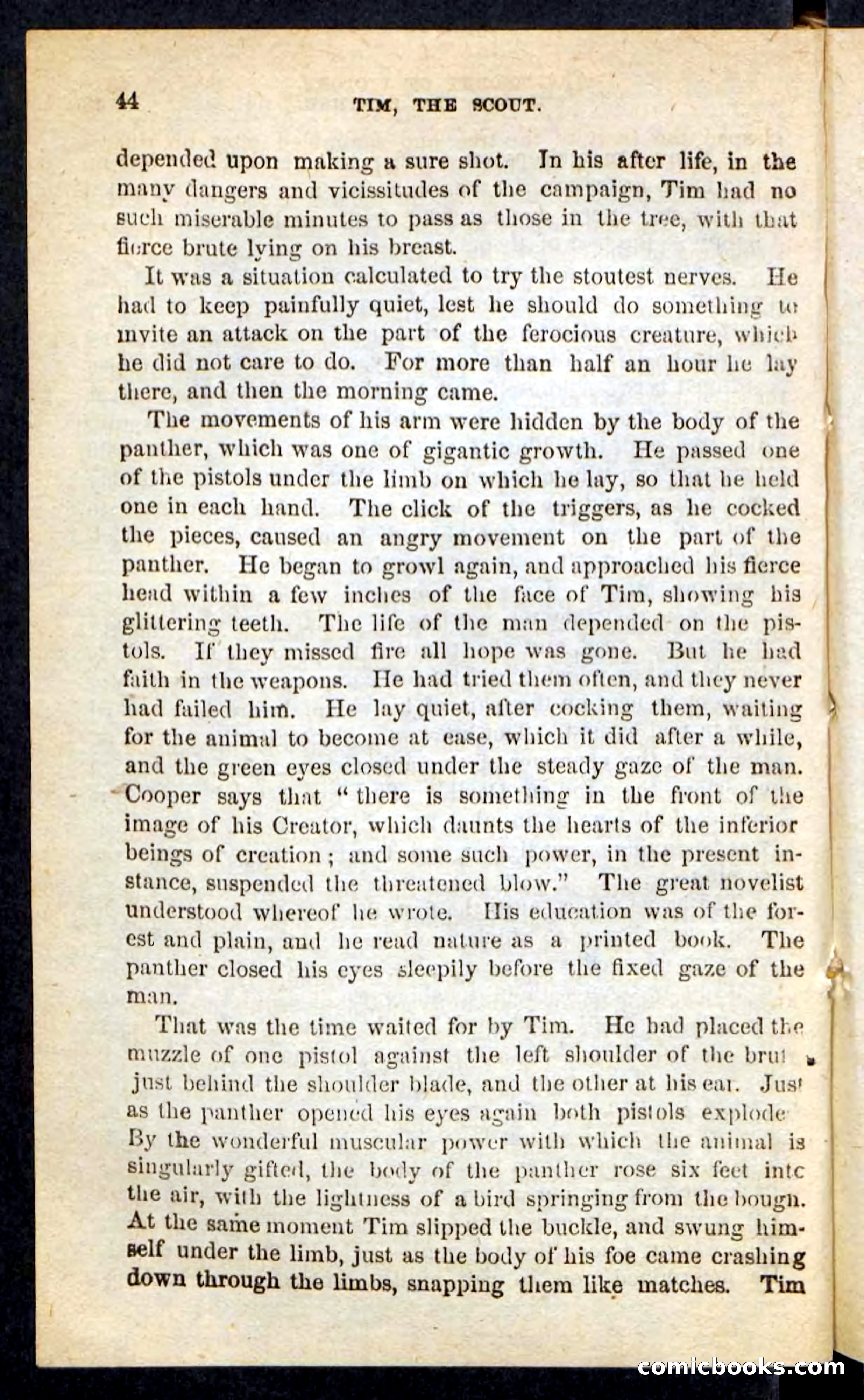 Tim, the Trailer — page 40 of 100