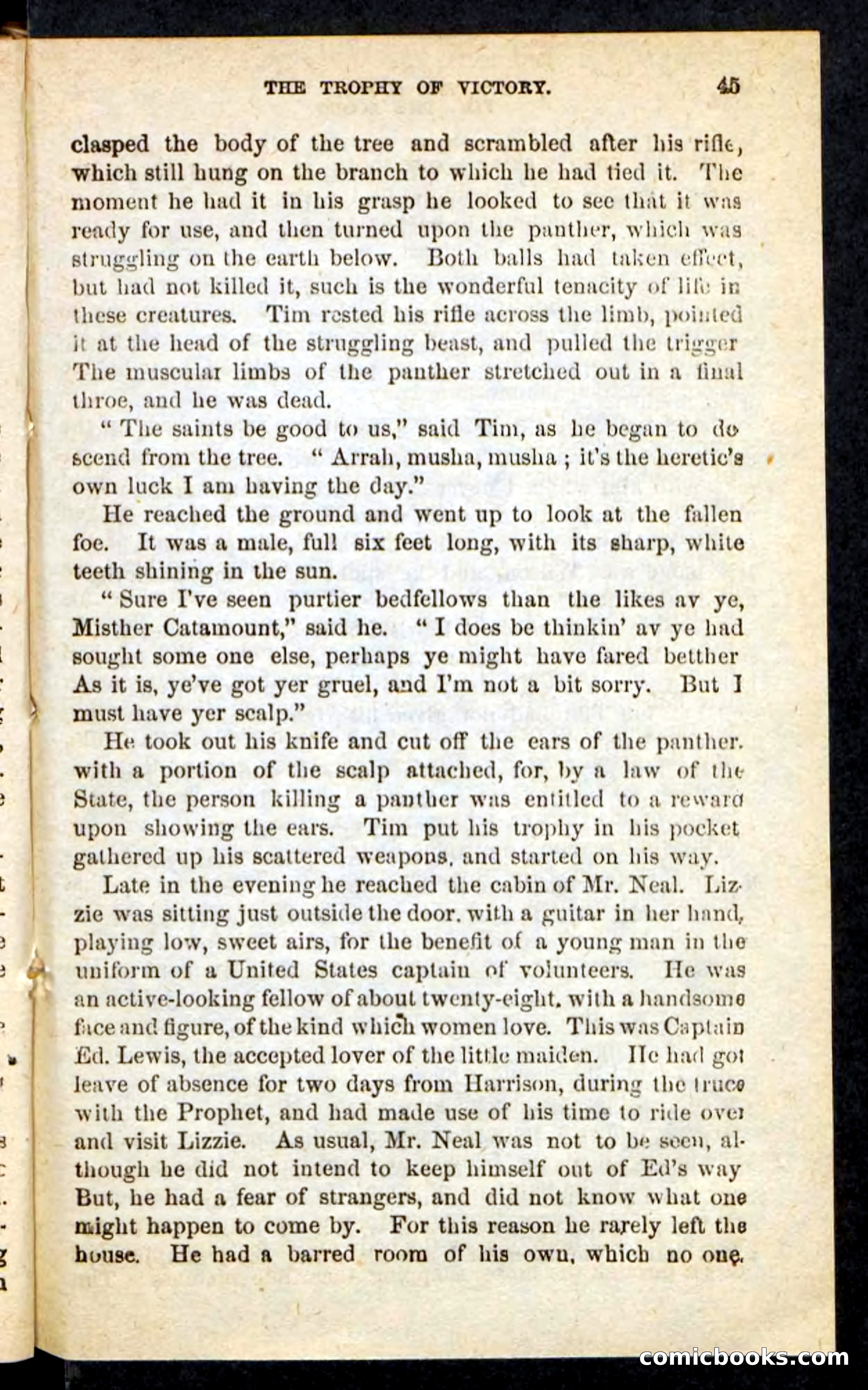 Tim, the Trailer — page 41 of 100