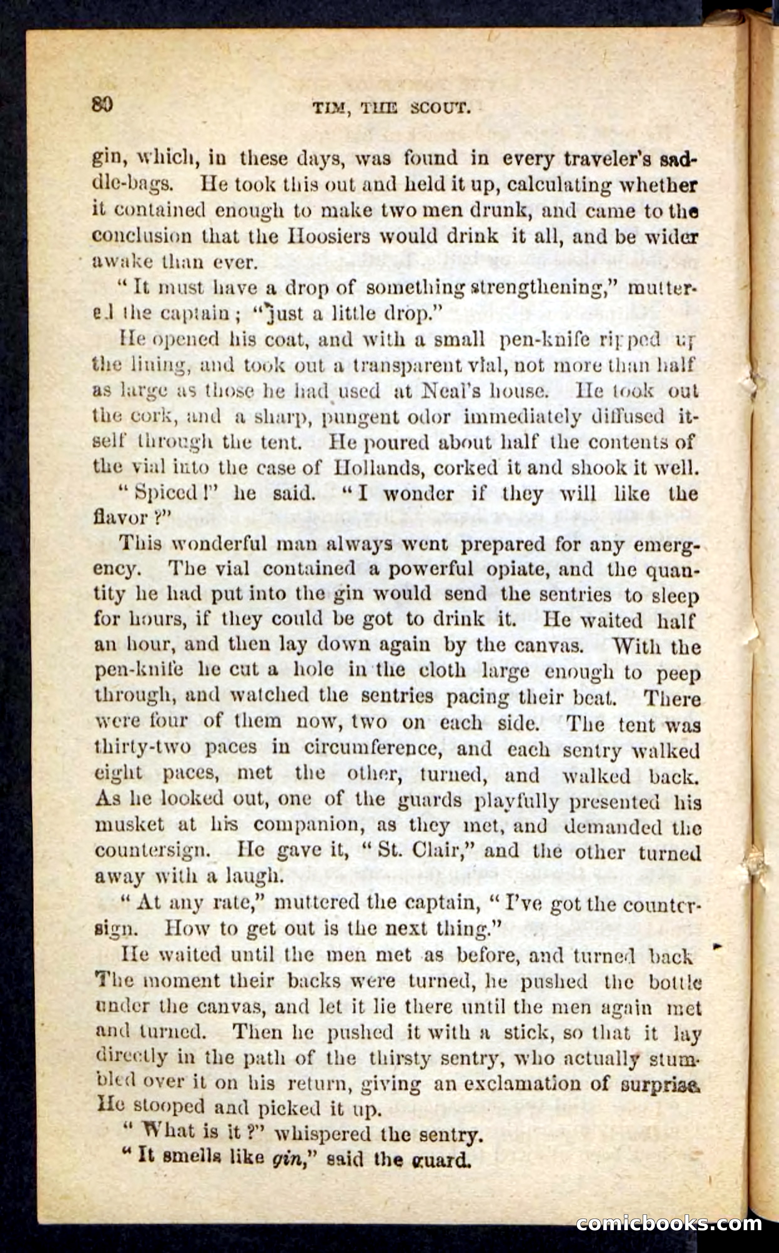 Tim, the Trailer — page 76 of 100