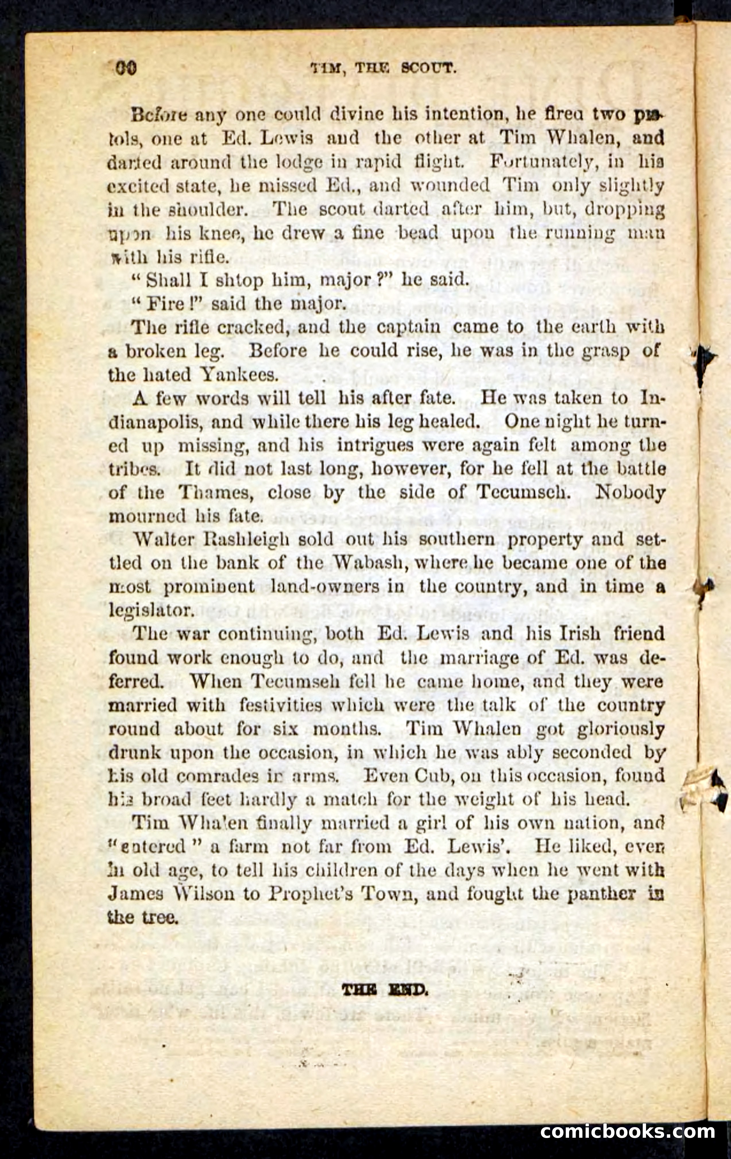 Tim, the Trailer — page 96 of 100