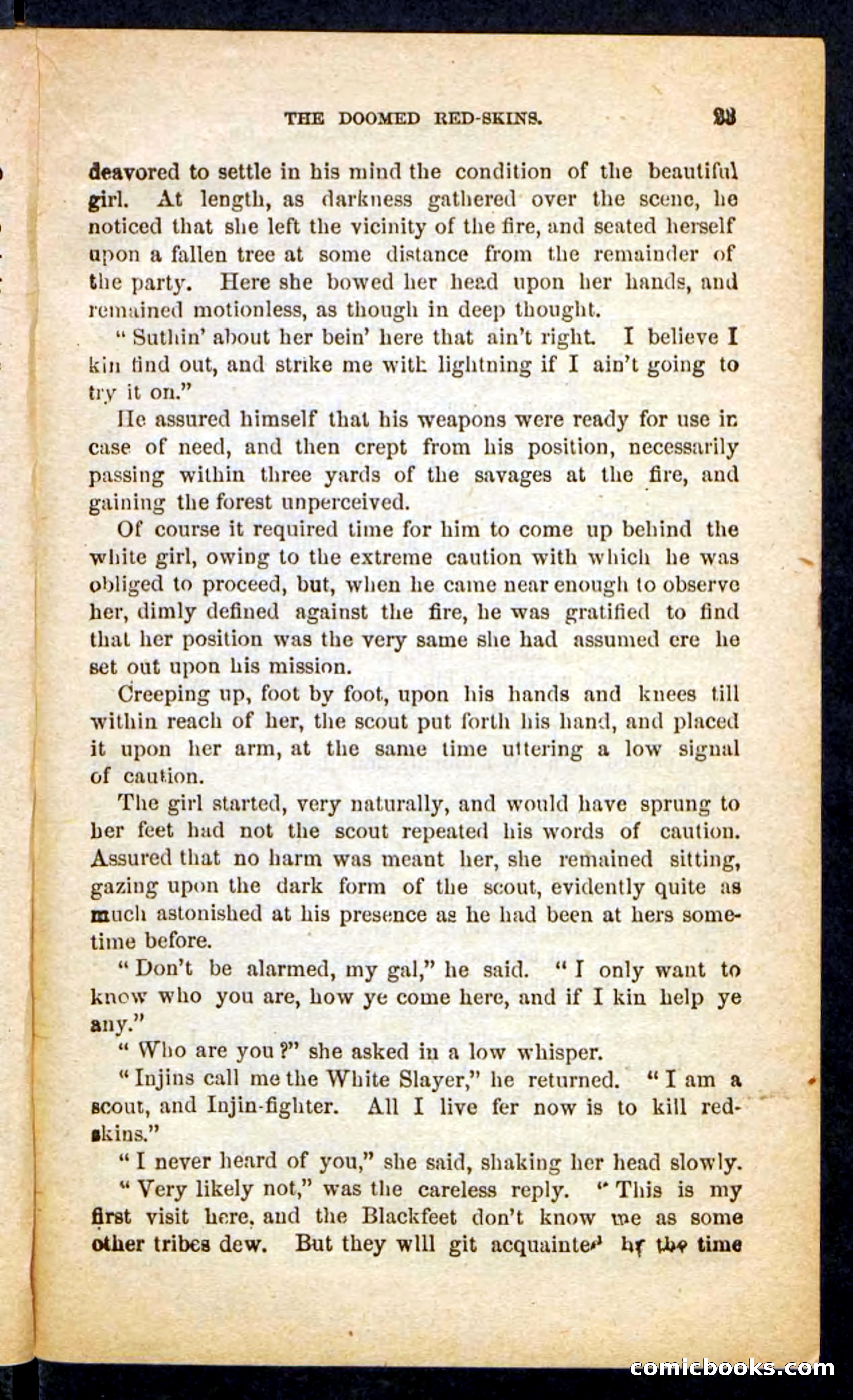 The White Avenger — page 19 of 100