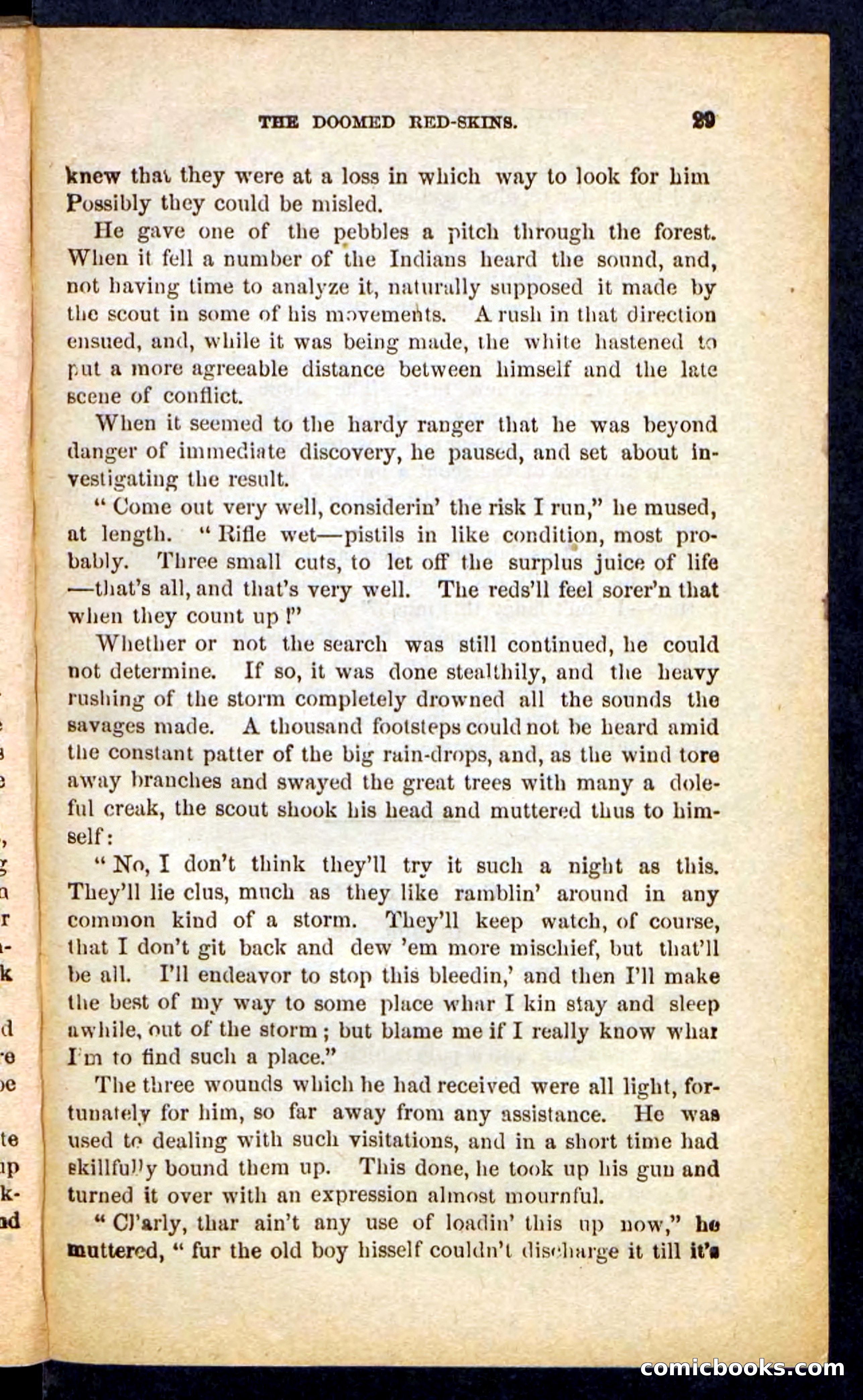 The White Avenger — page 25 of 100