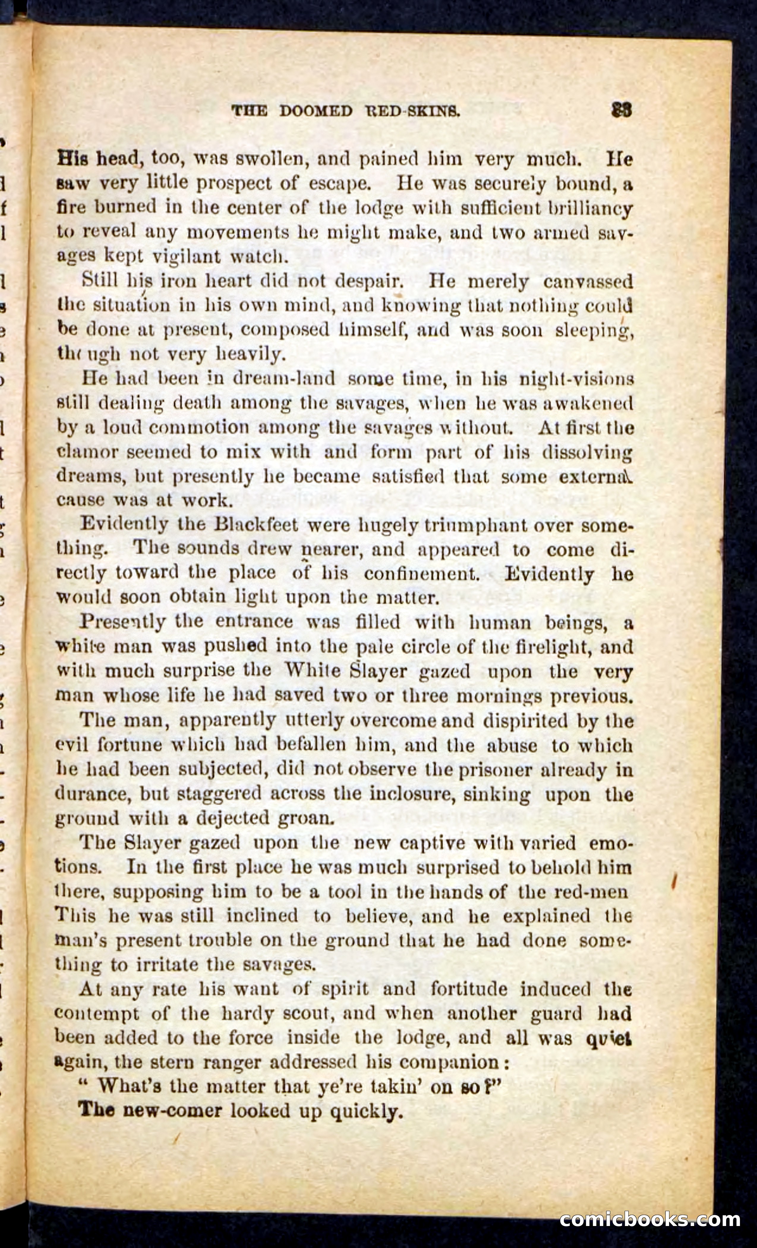 The White Avenger — page 29 of 100