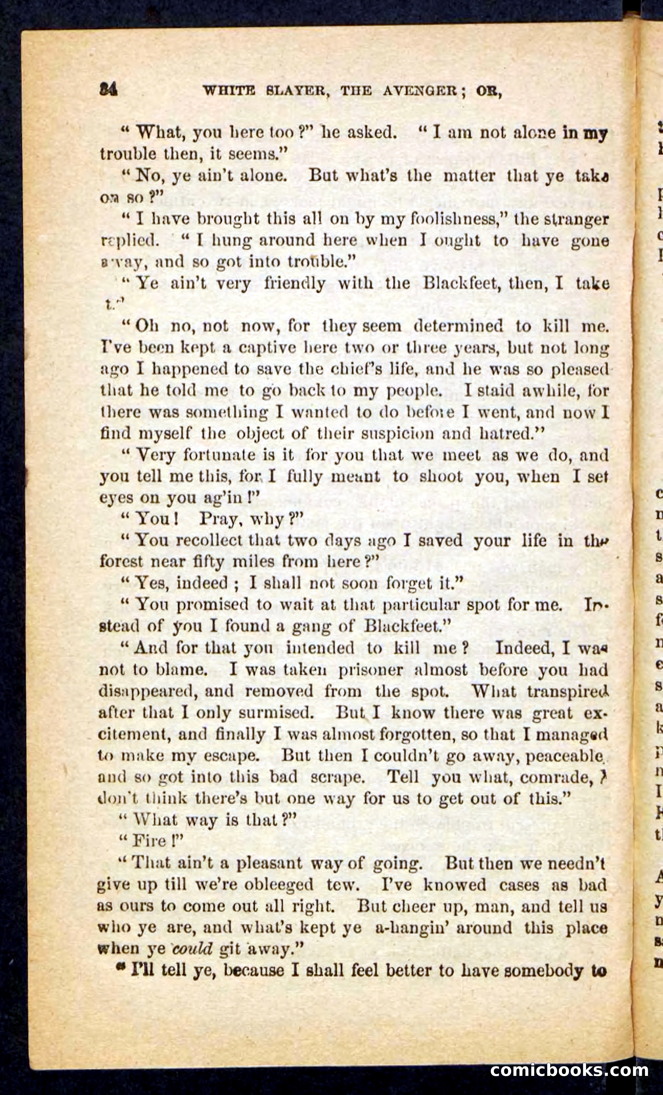 The White Avenger — page 30 of 100