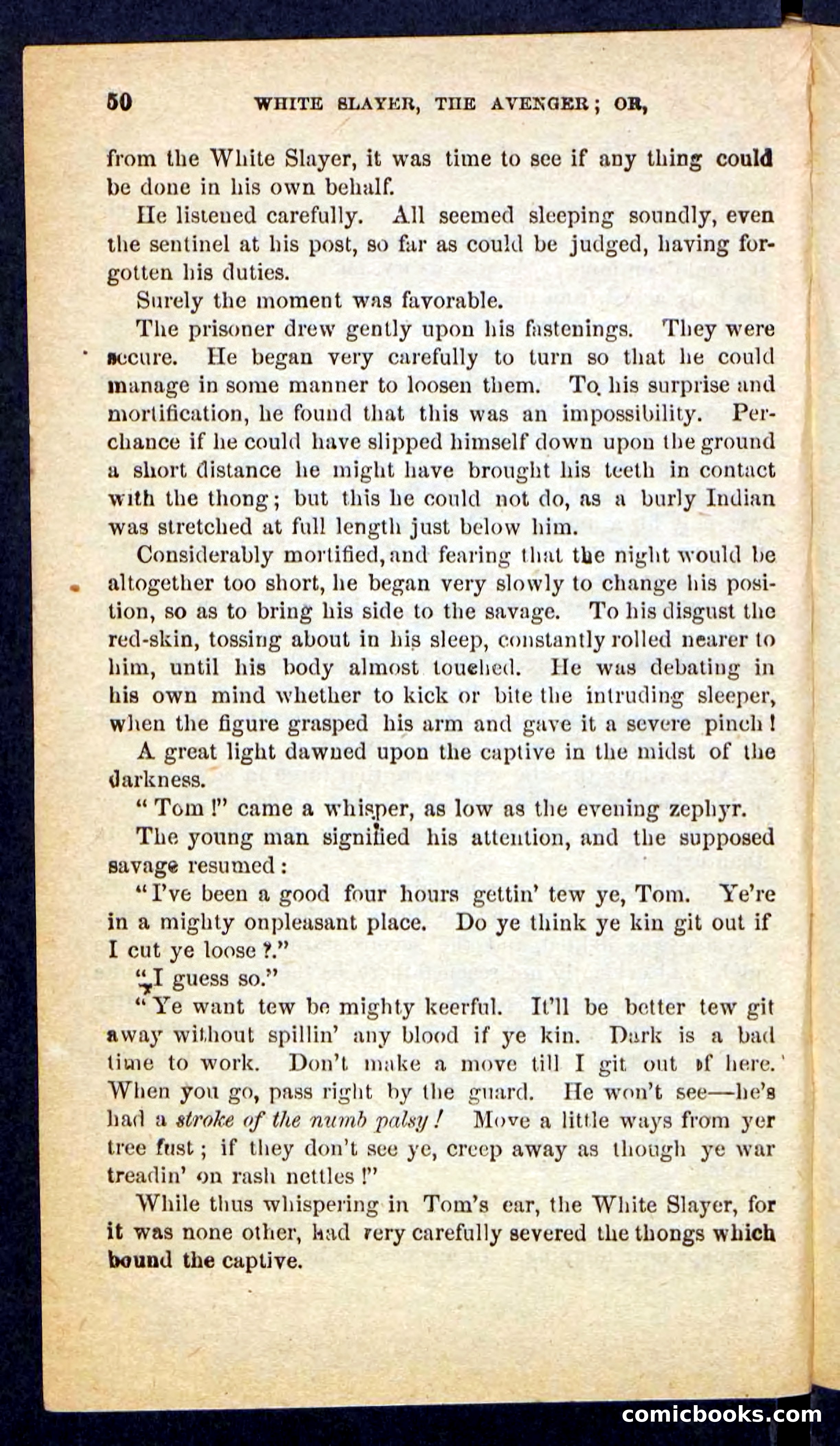 The White Avenger — page 46 of 100