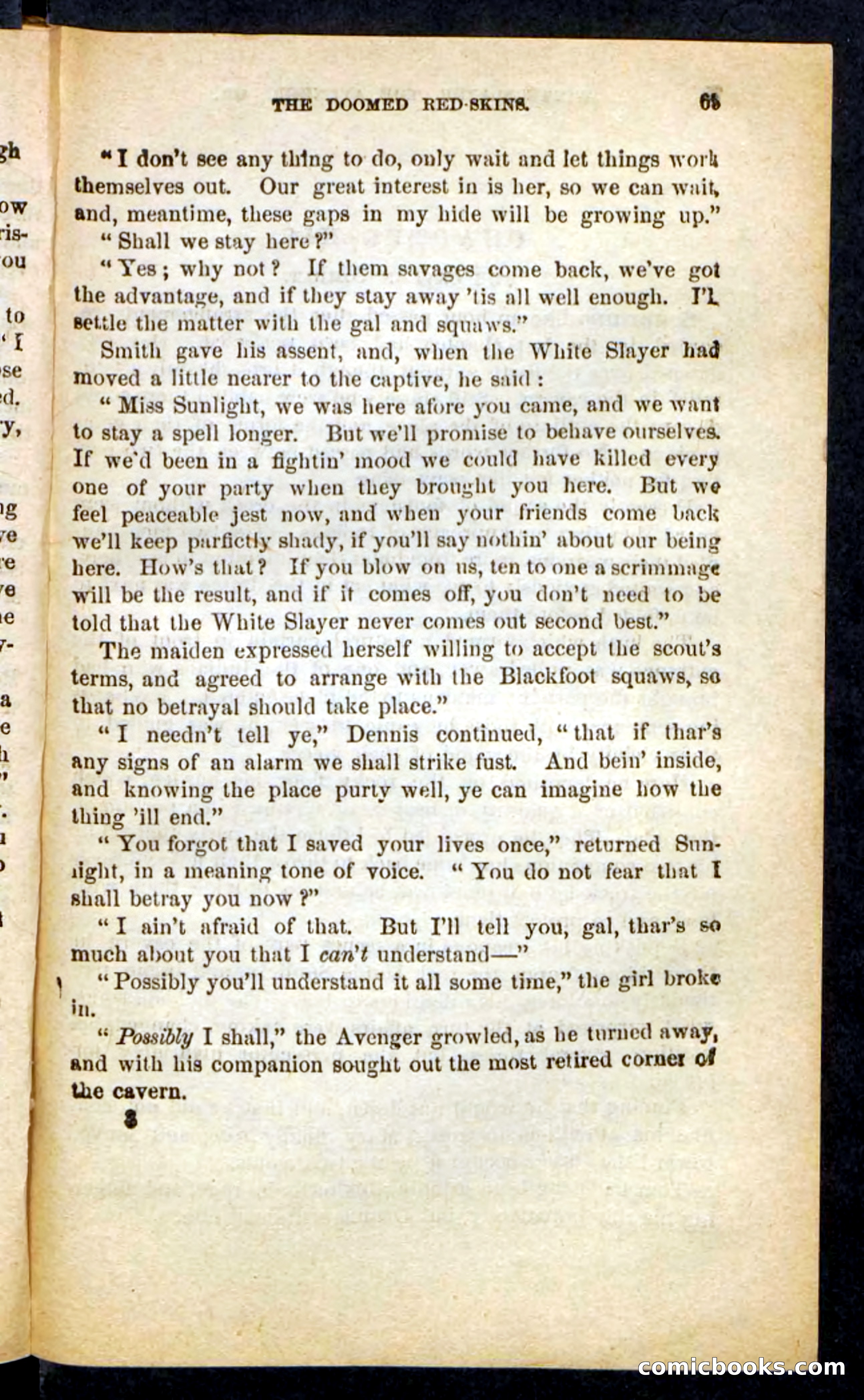 The White Avenger — page 65 of 100