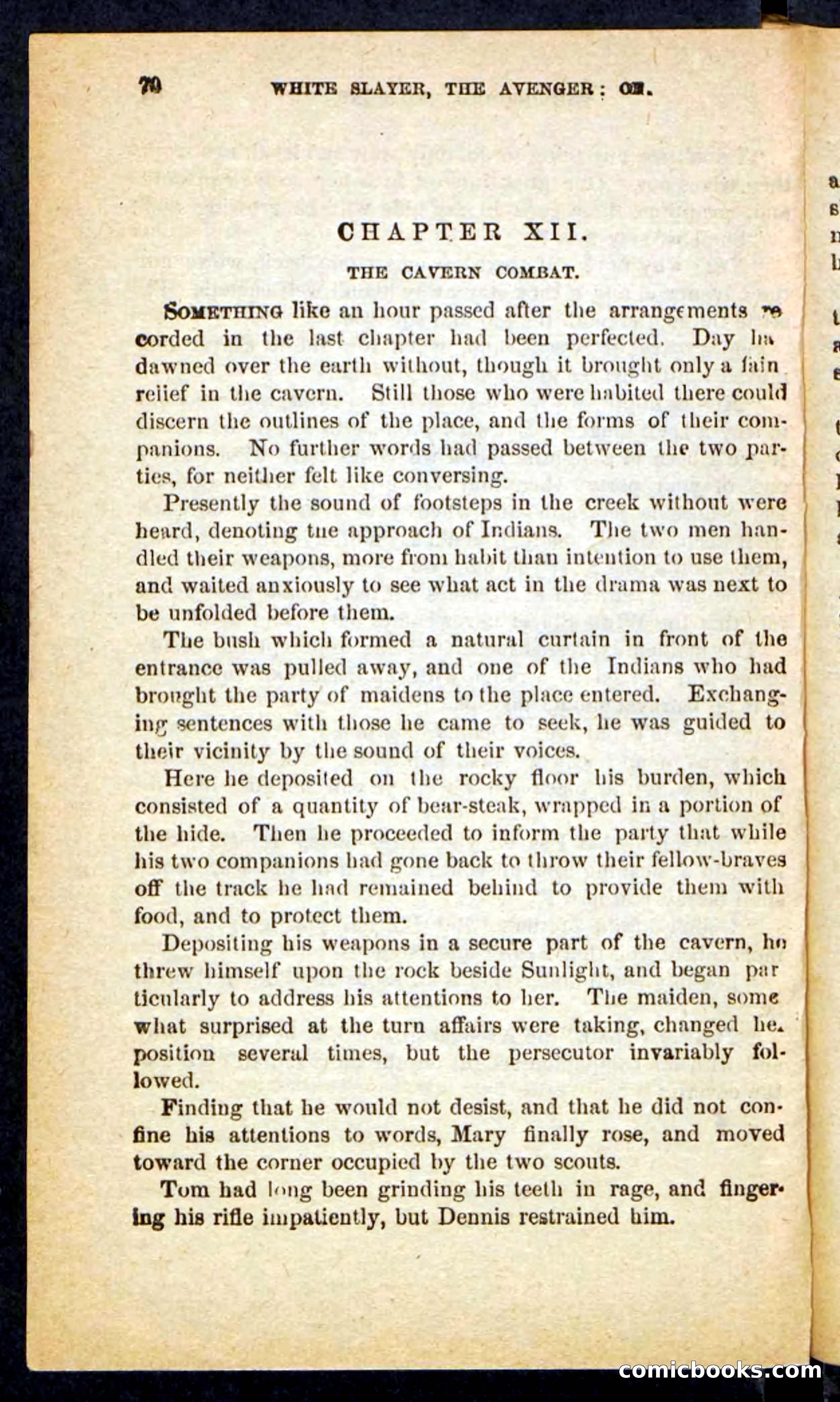 The White Avenger — page 66 of 100