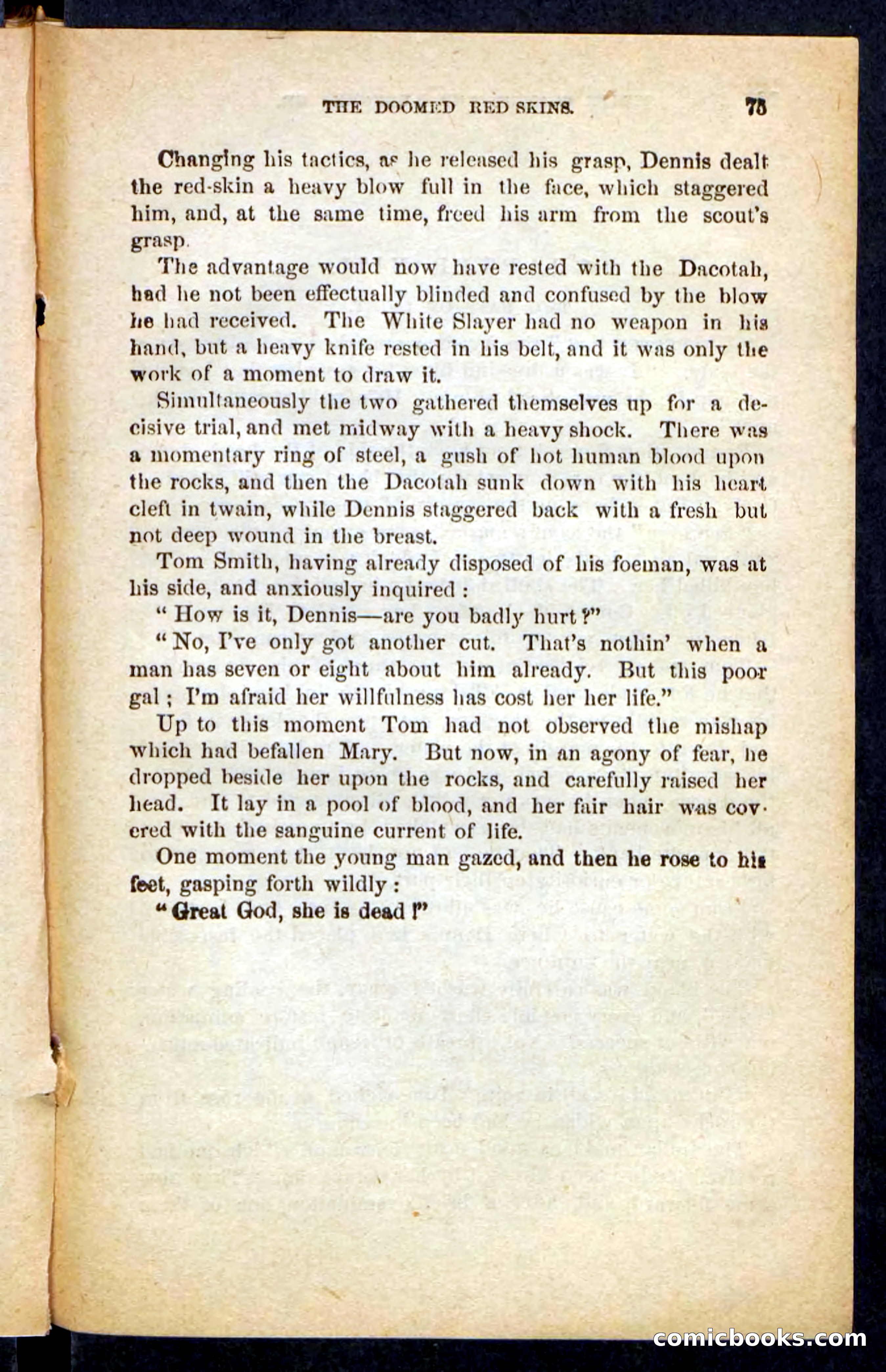The White Avenger — page 71 of 100