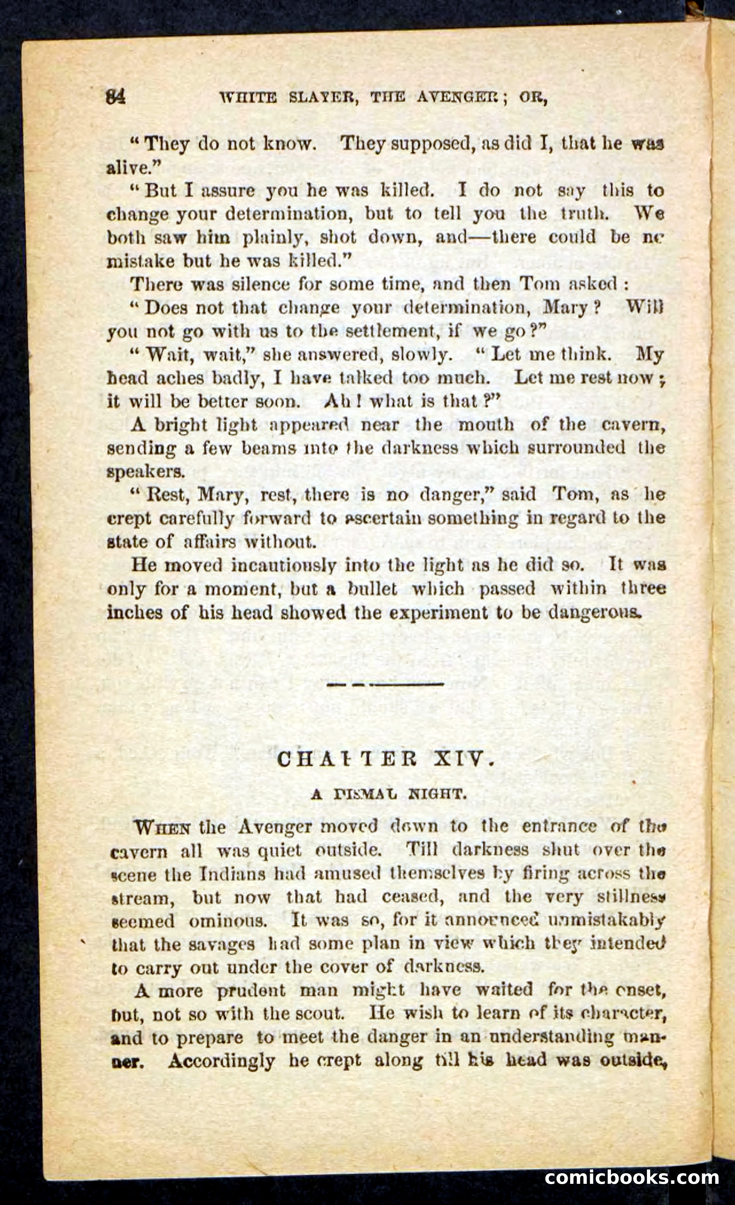 The White Avenger — page 80 of 100