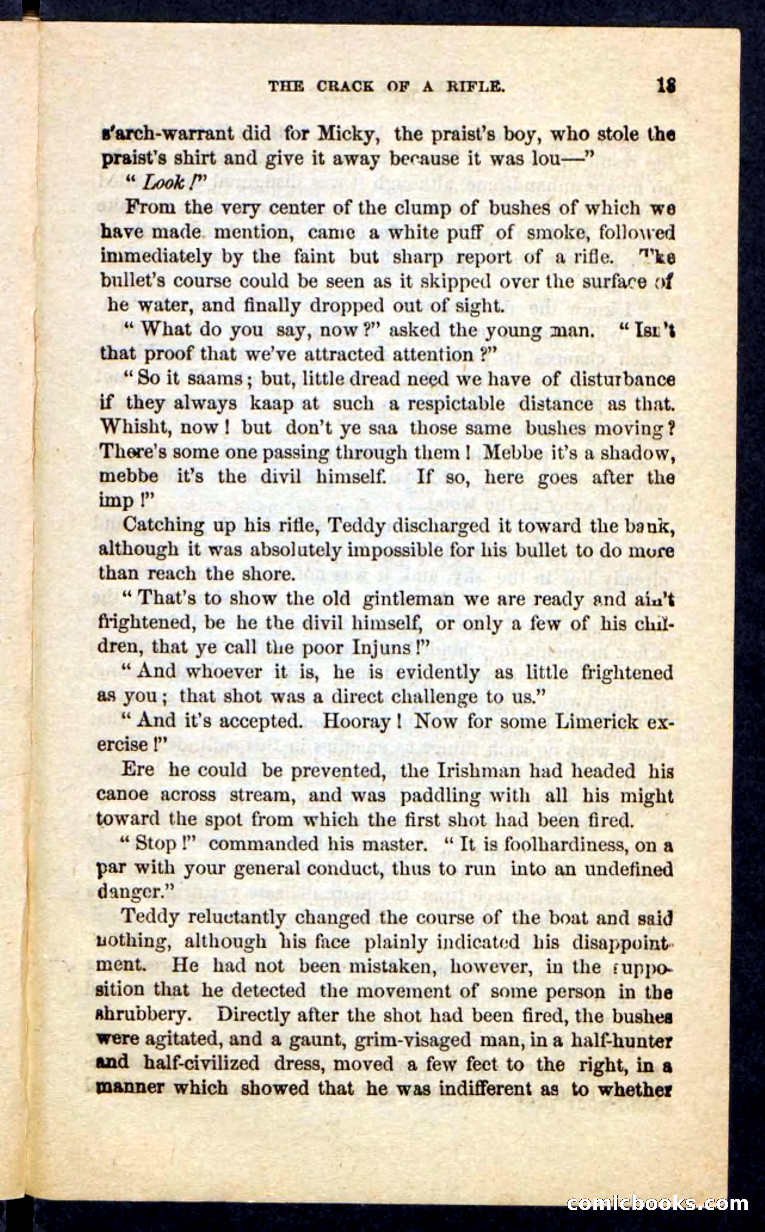 The Long Trail — page 9 of 100