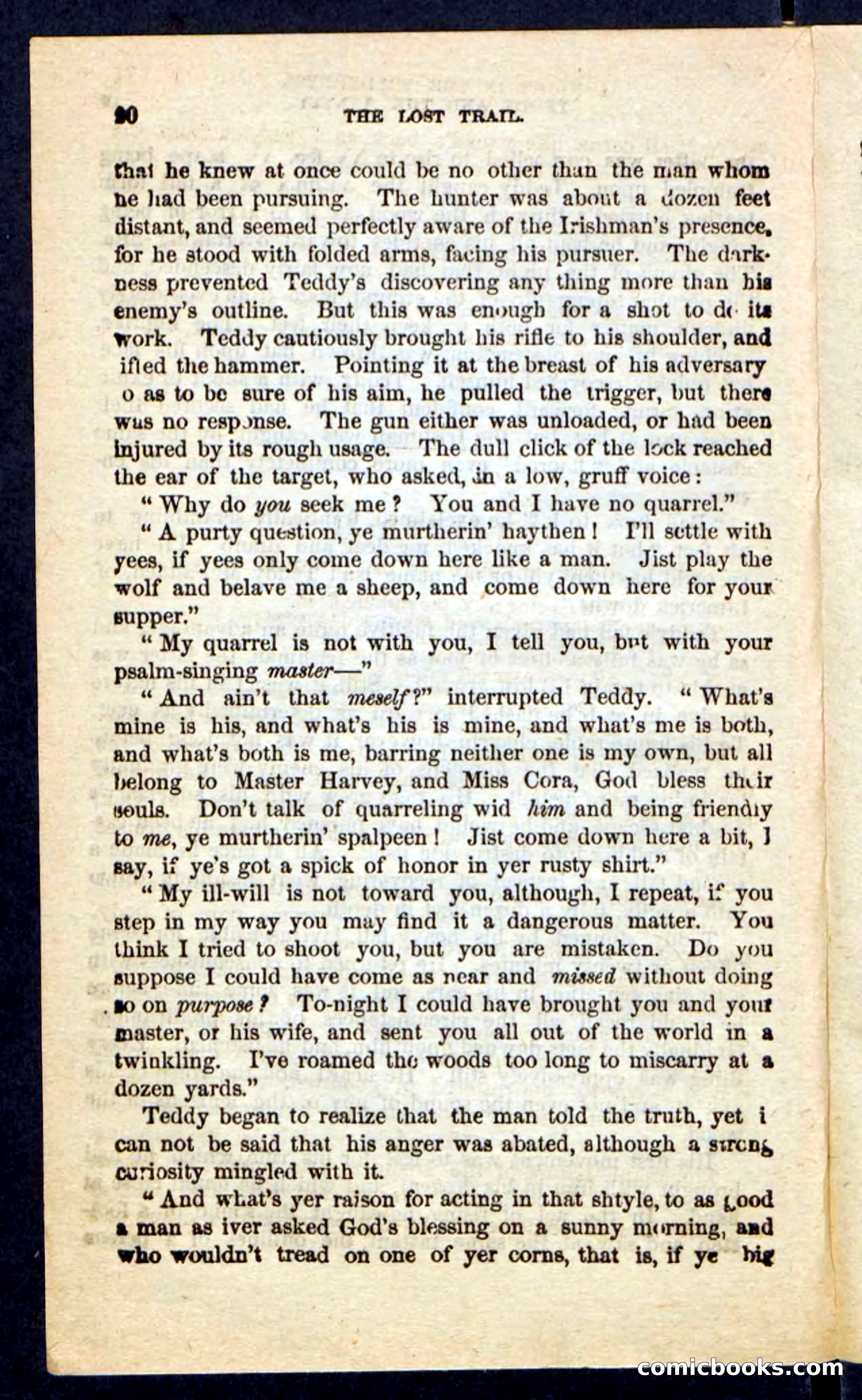 The Long Trail — page 16 of 100