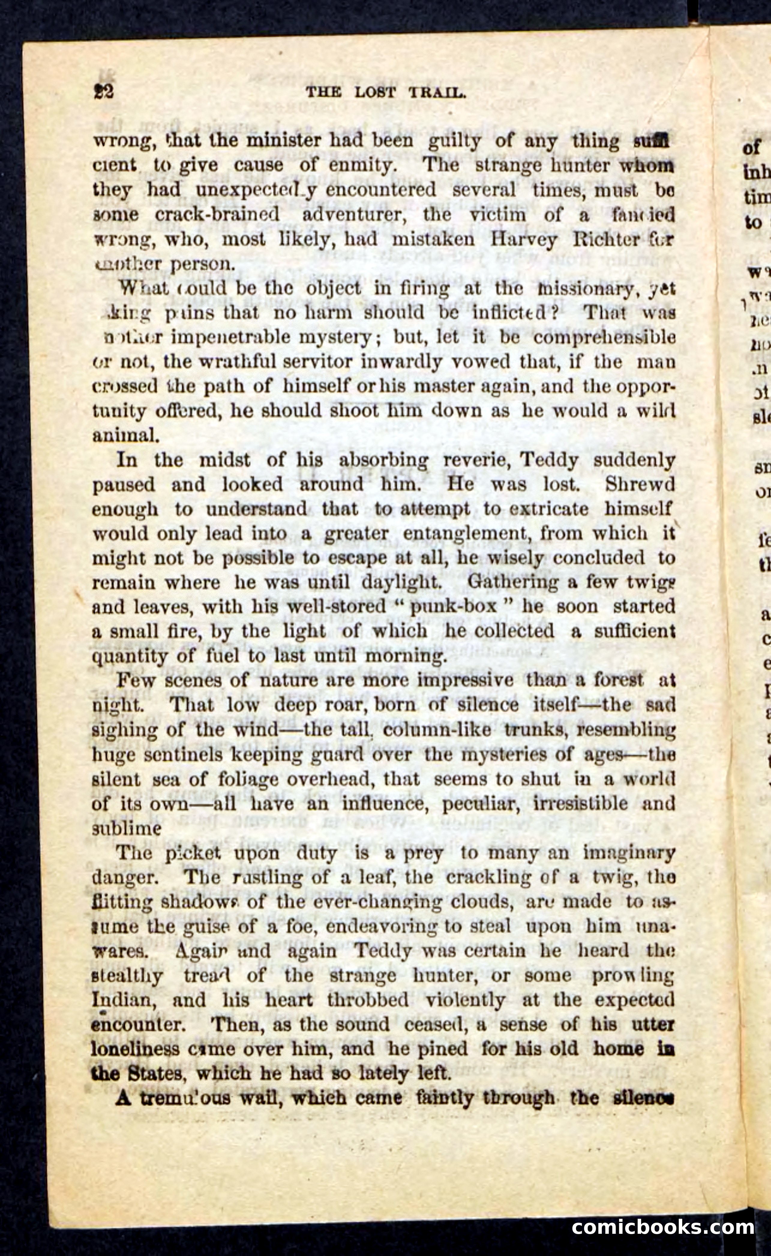 The Long Trail — page 18 of 100