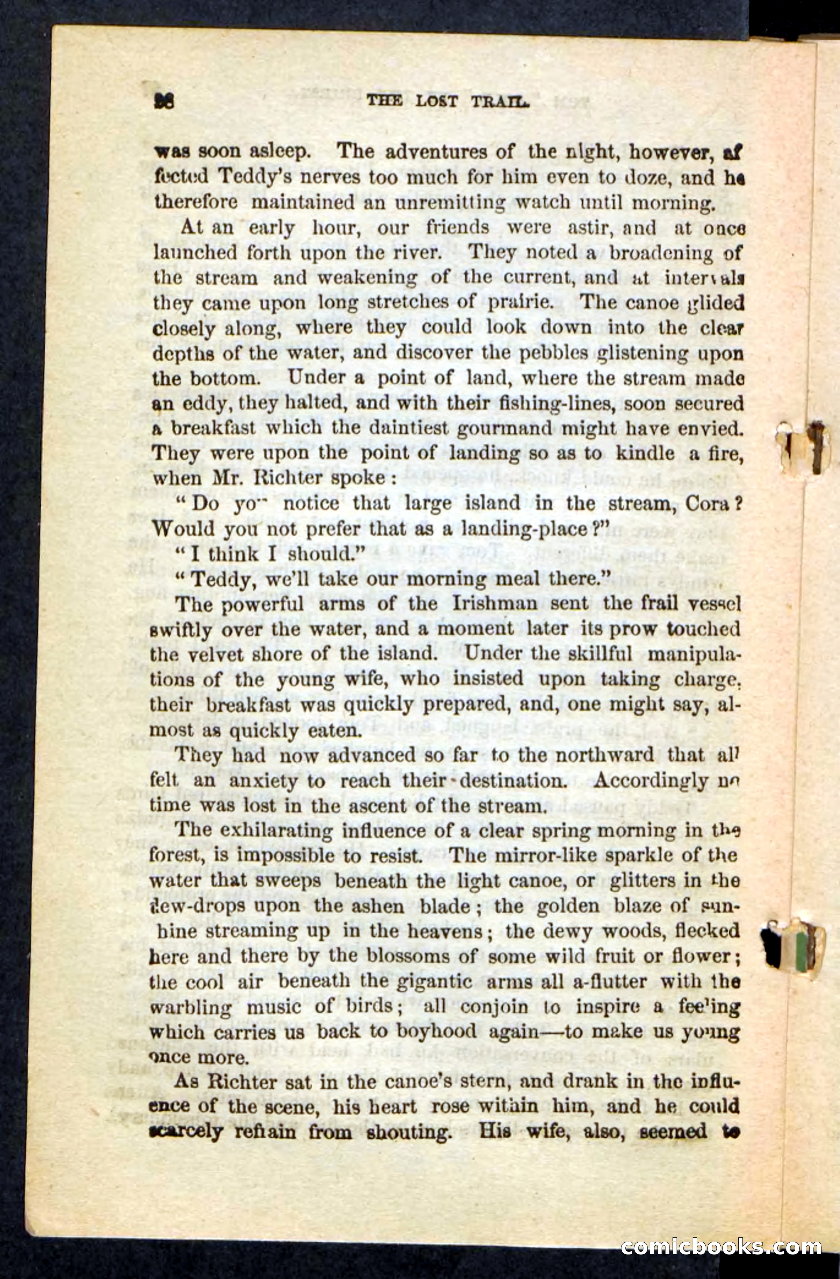 The Long Trail — page 24 of 100