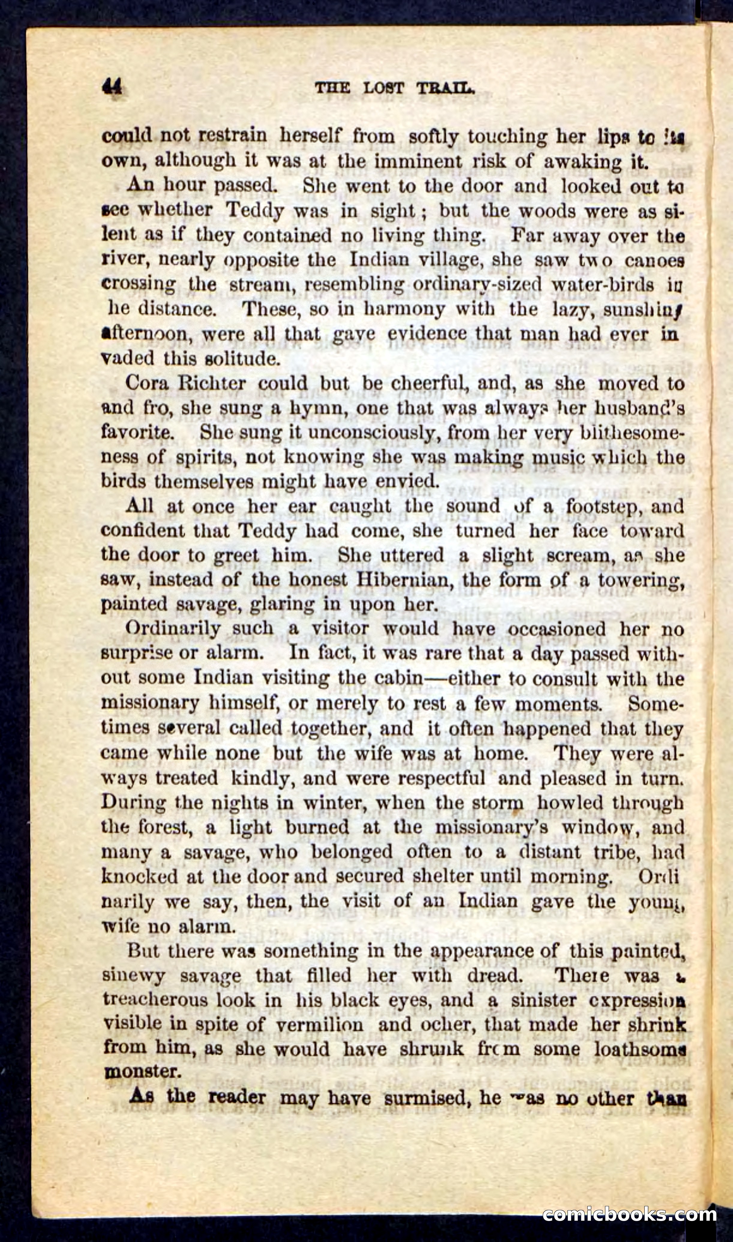 The Long Trail — page 40 of 100