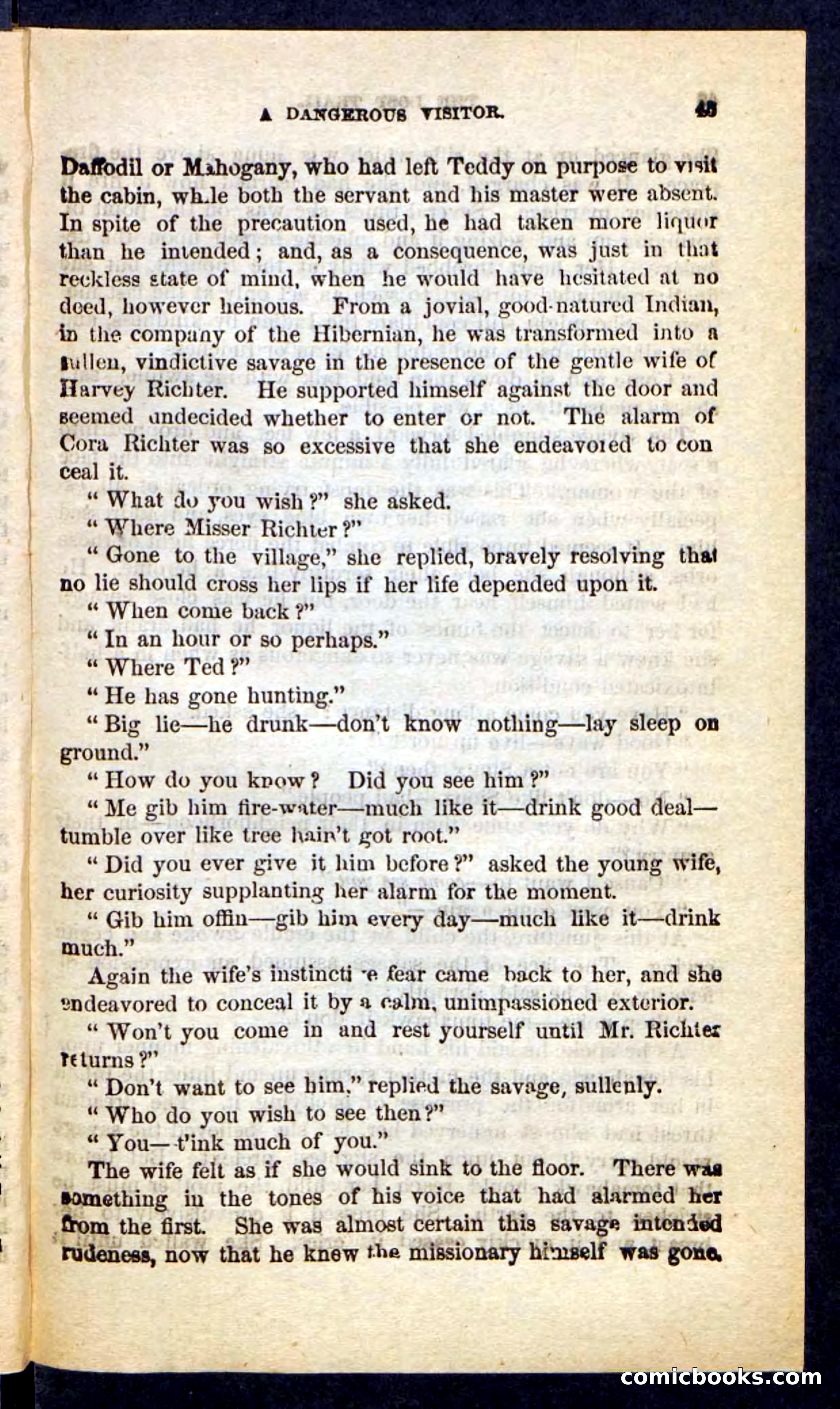 The Long Trail — page 41 of 100