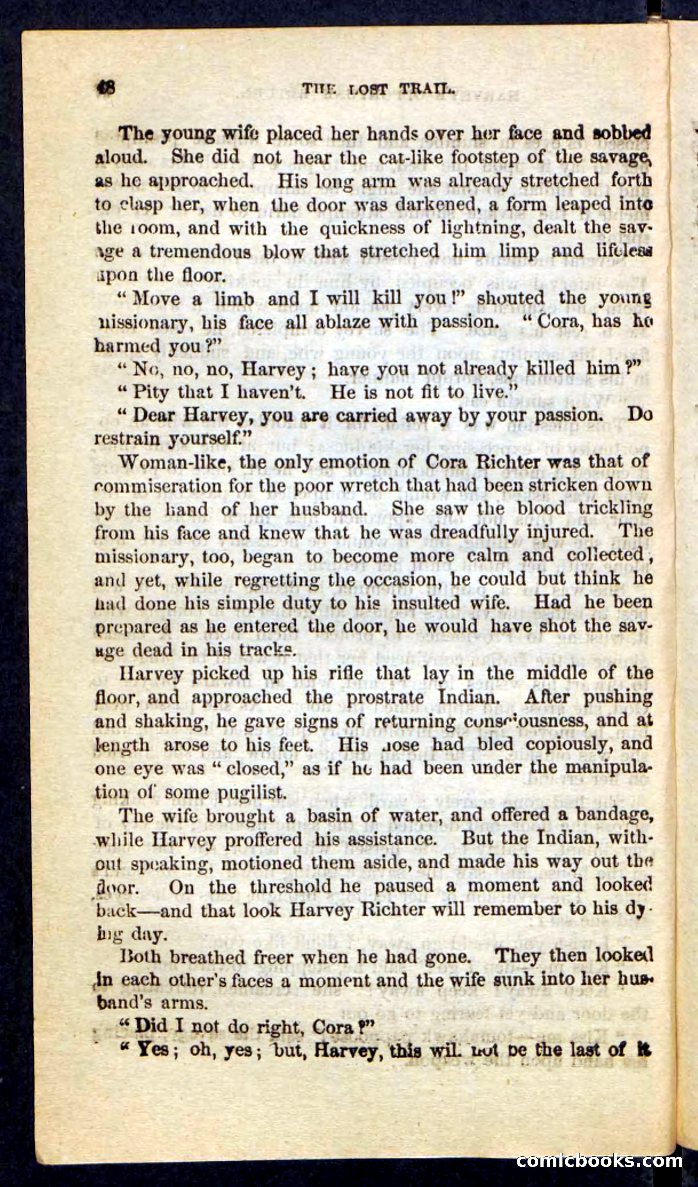 The Long Trail — page 44 of 100