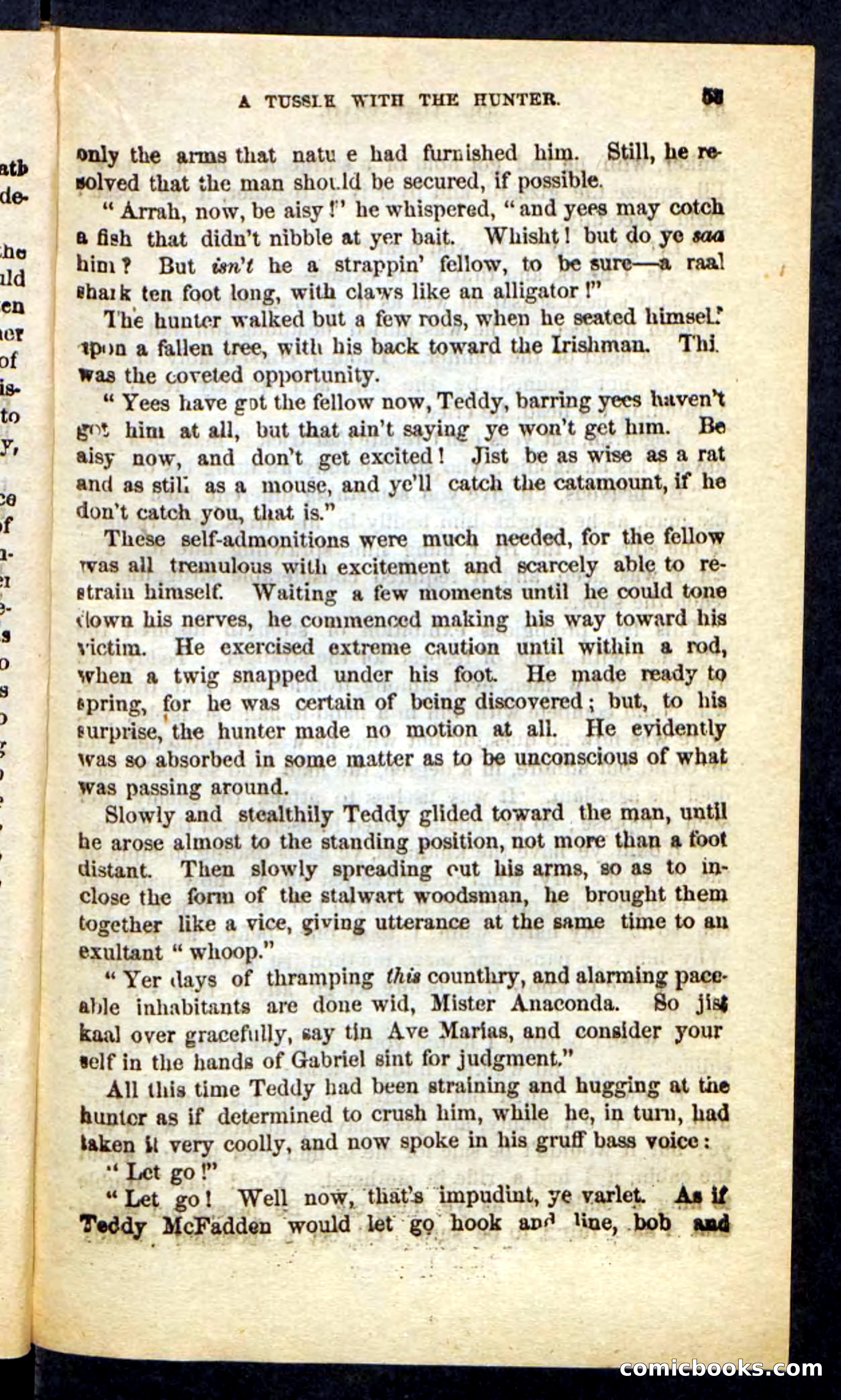 The Long Trail — page 49 of 100