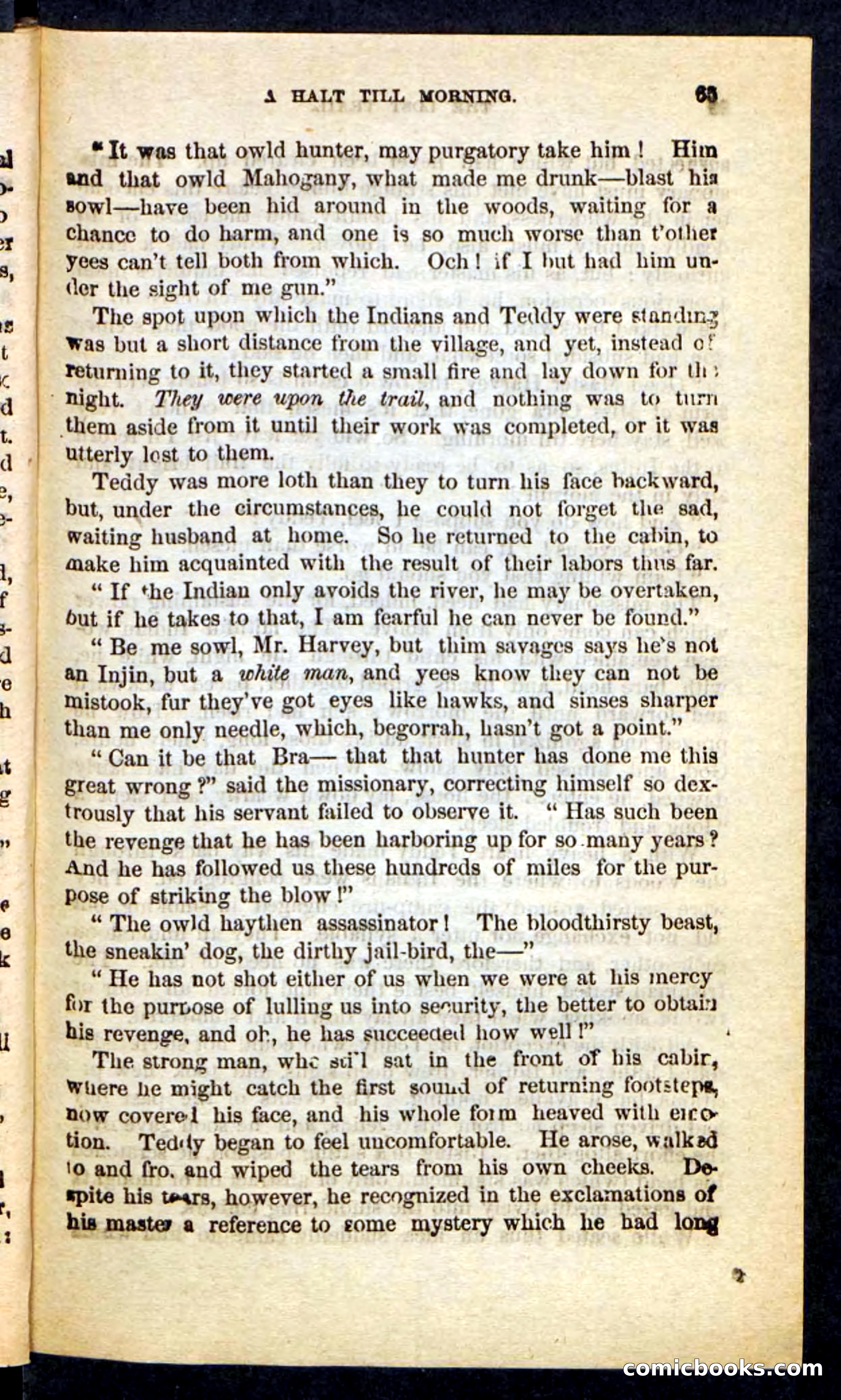 The Long Trail — page 61 of 100