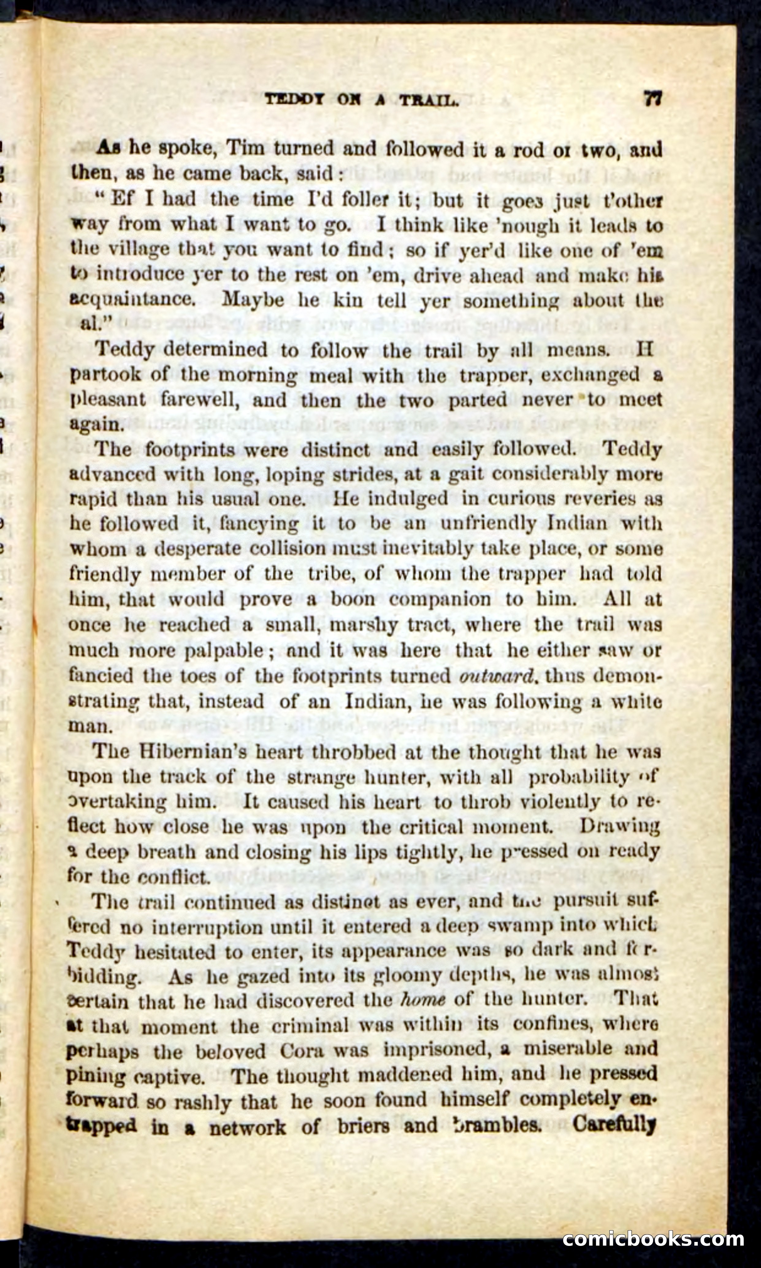 The Long Trail — page 73 of 100