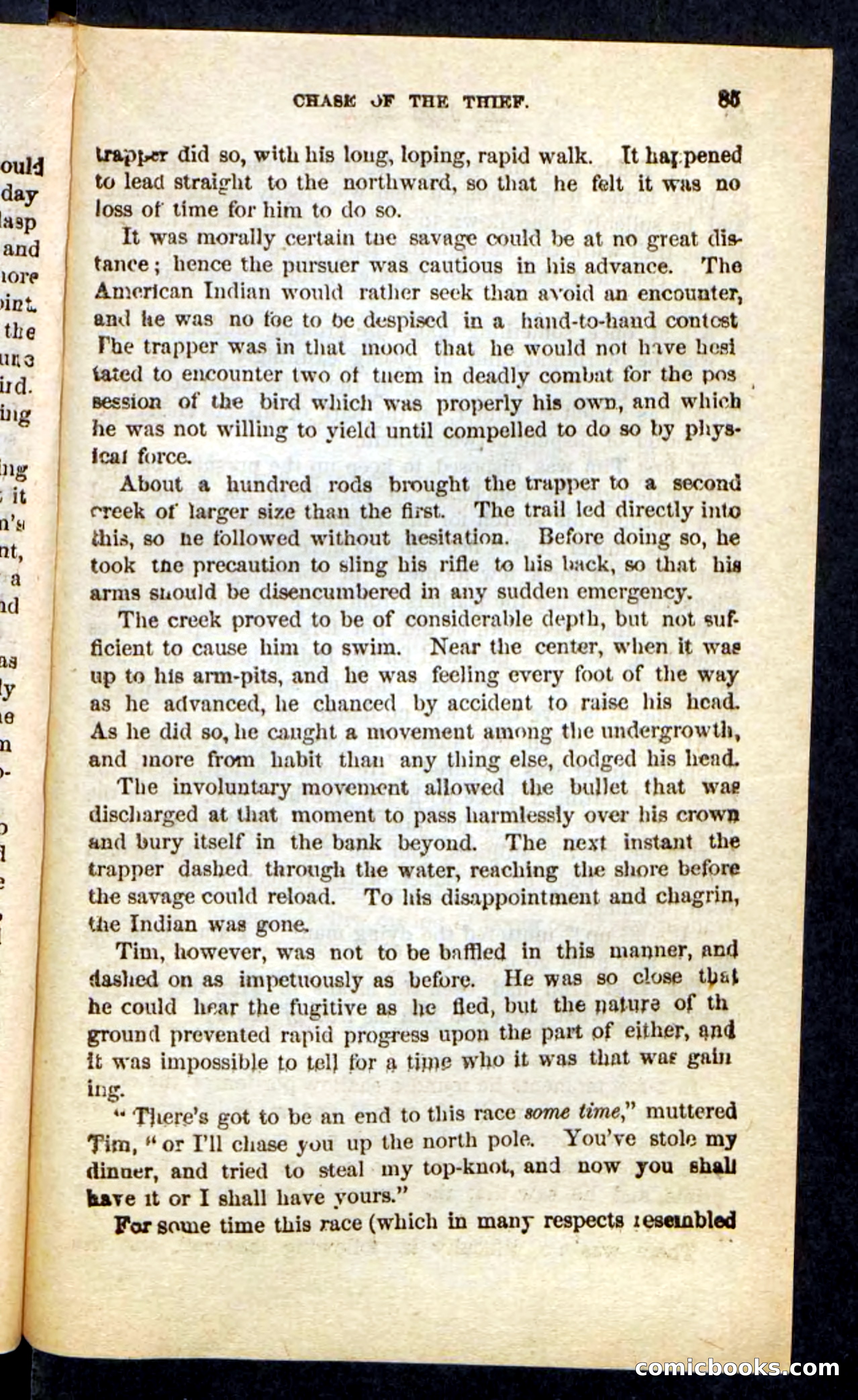 The Long Trail — page 81 of 100