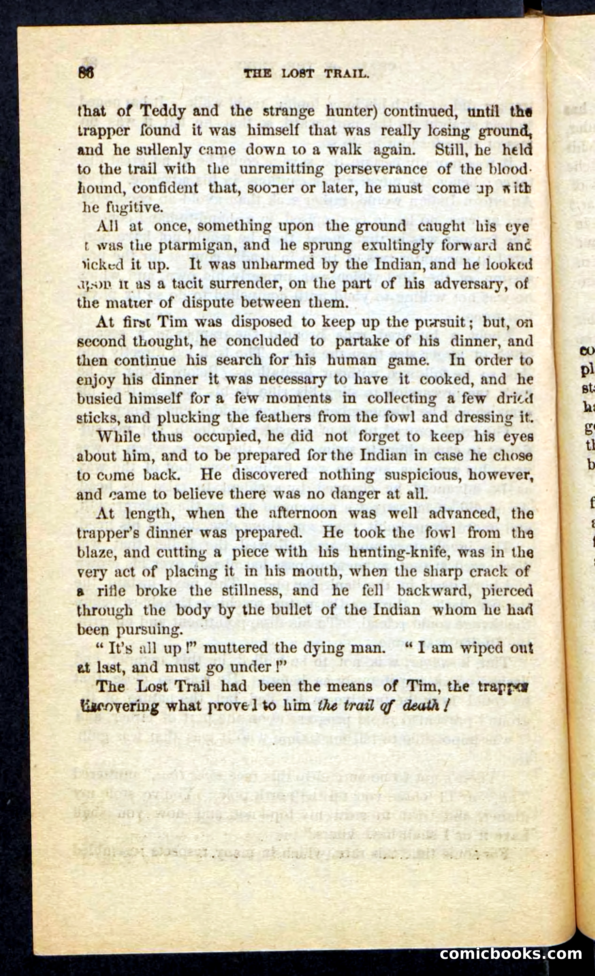 The Long Trail — page 82 of 100