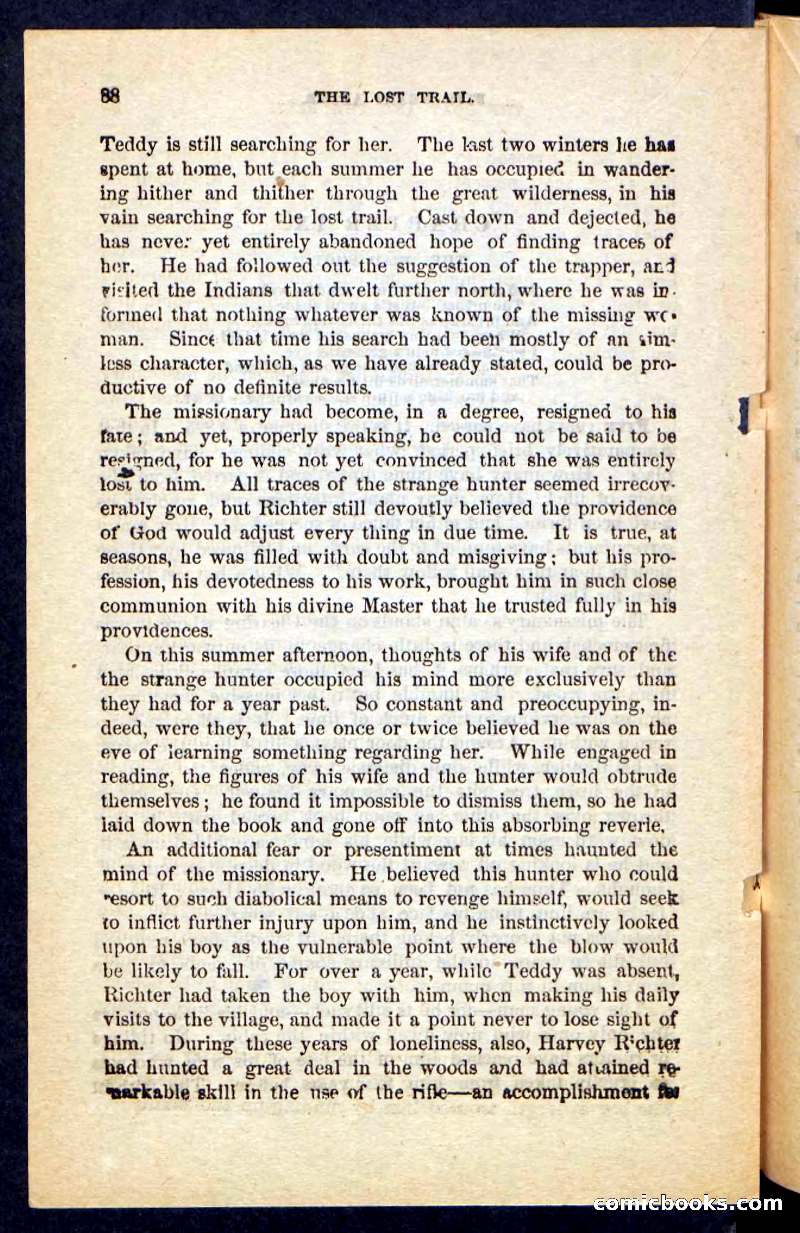 The Long Trail — page 84 of 100