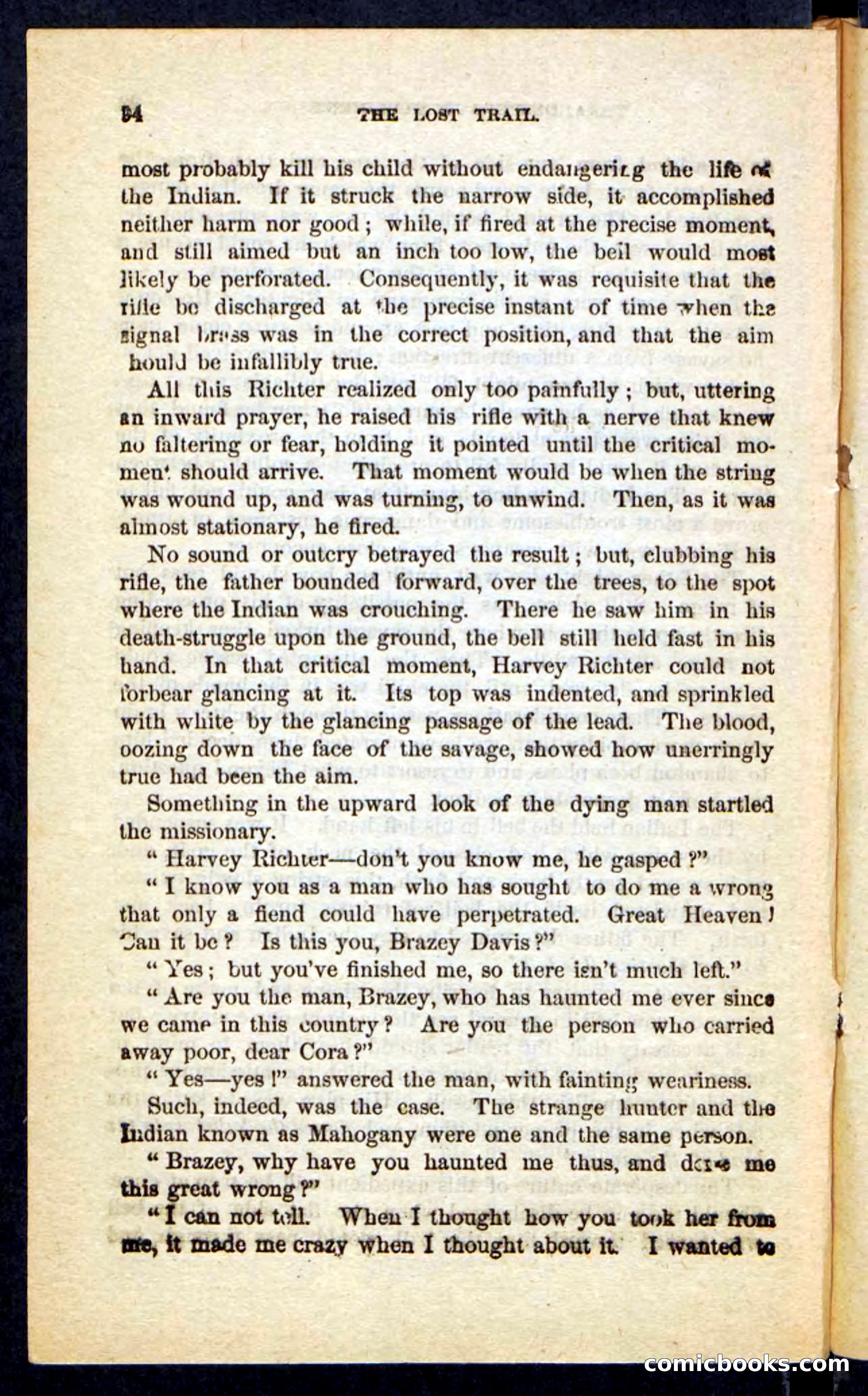 The Long Trail — page 90 of 100