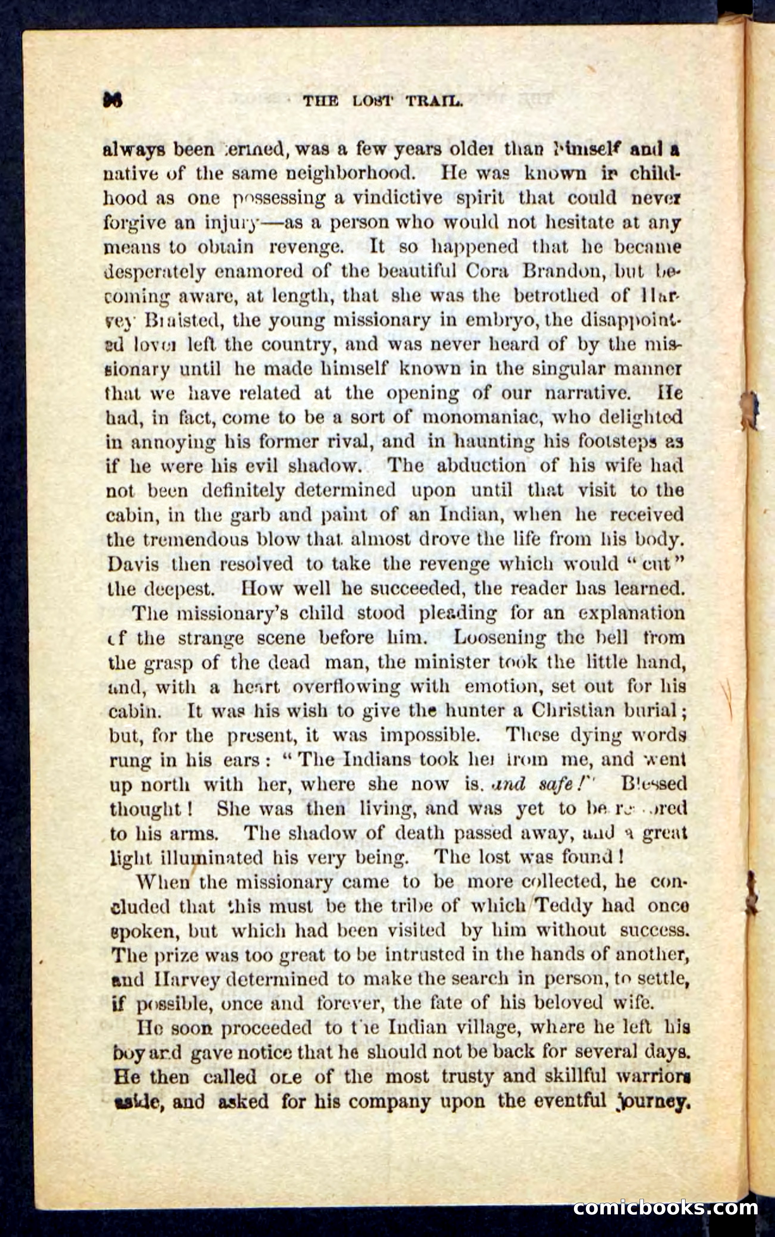 The Long Trail — page 92 of 100